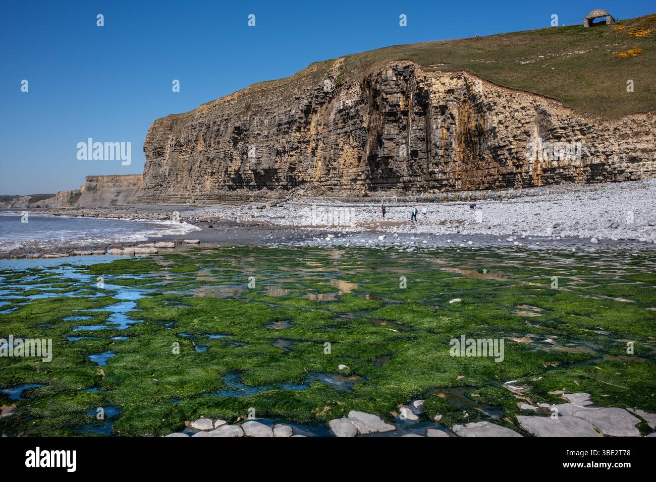 Monknash Beach sulla Glamorgan Heritage Coast nel Galles del Sud, Regno Unito Foto Stock