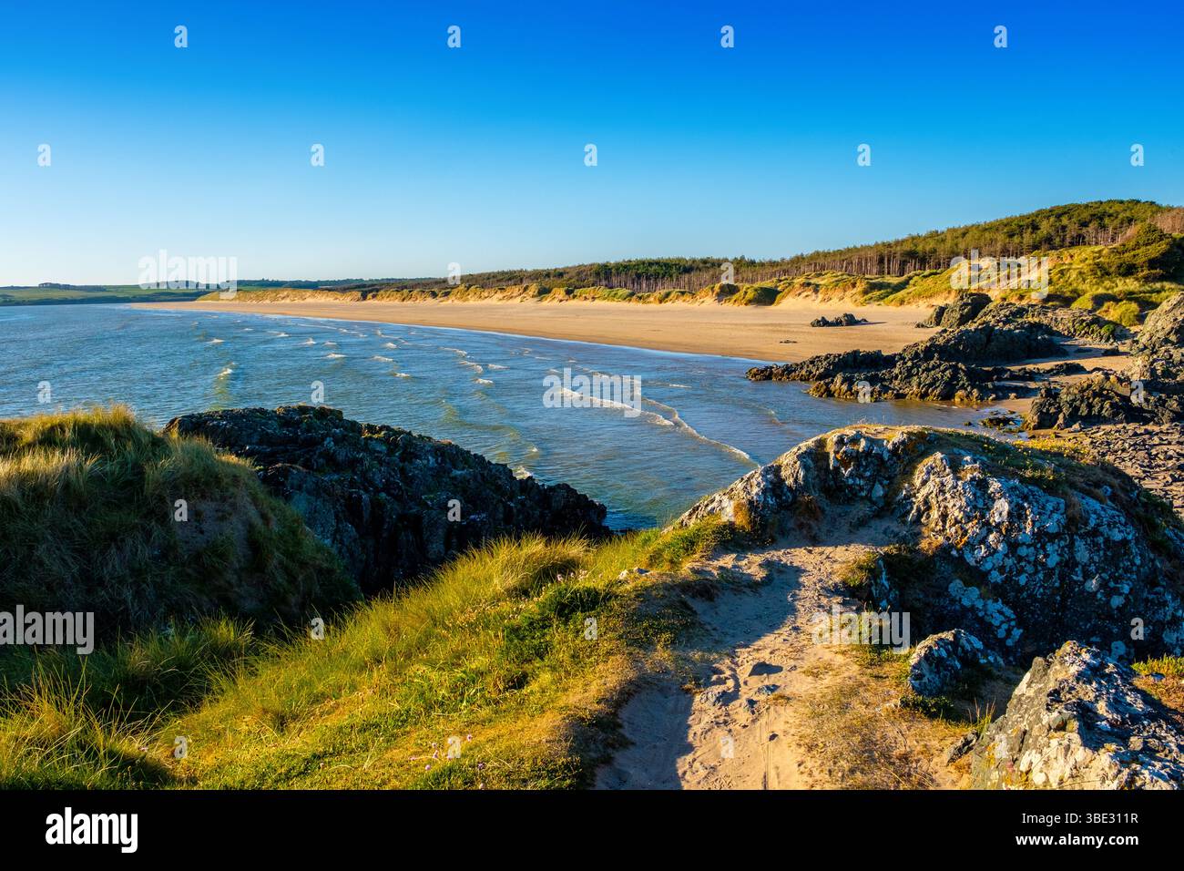 Malltraeth Beach / Llanddwyn Beach è una grande spiaggia sabbiosa sostenuta da dune e una riserva naturale su Anglesey / Ynys Mon, Galles Foto Stock