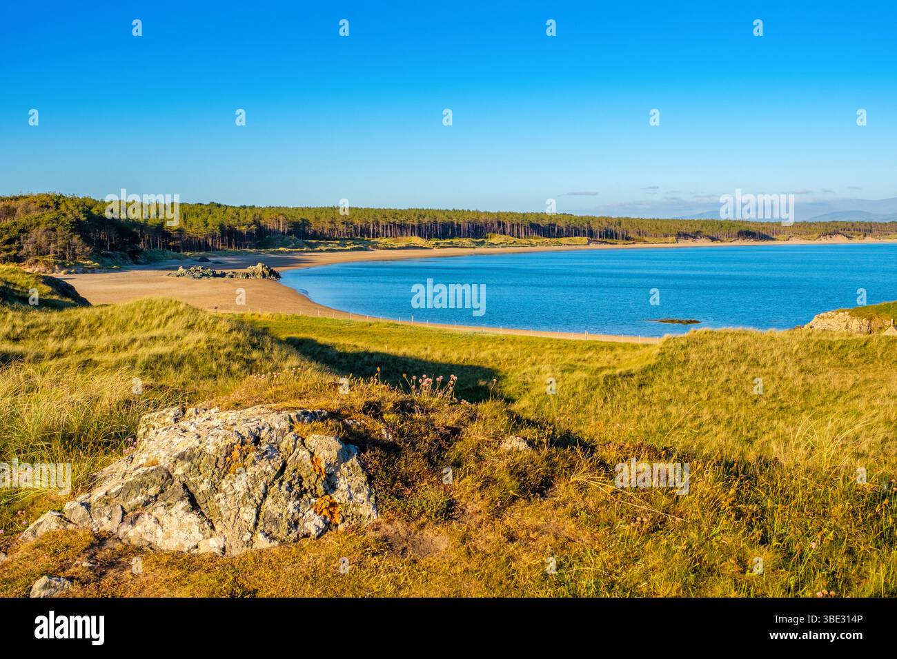 Newborough Beach / Llanddwyn Beach è una grande spiaggia sabbiosa sostenuta da dune e una riserva naturale su Anglesey / Ynys Mon, Galles Foto Stock