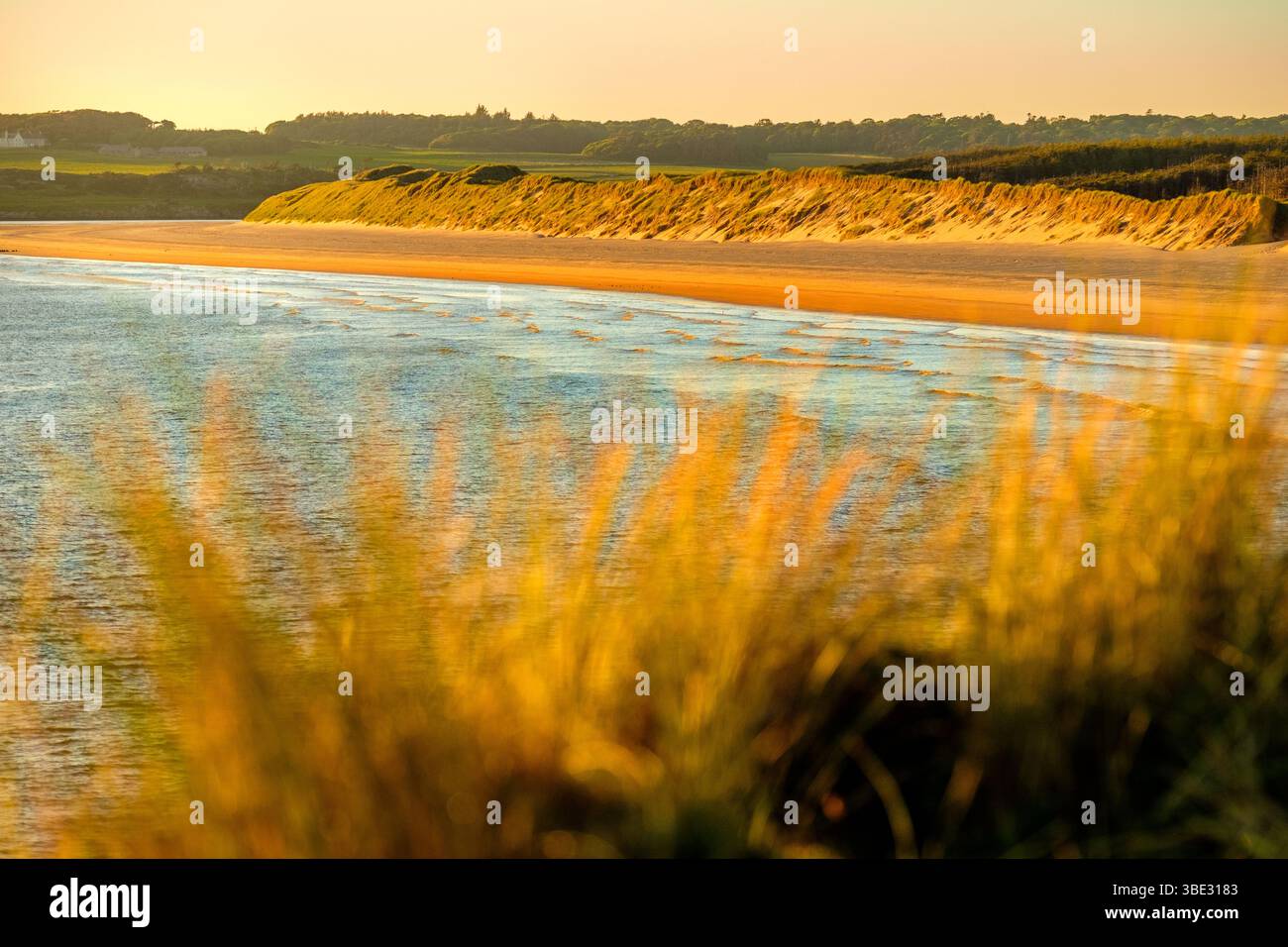 Malltraeth Beach / Llanddwyn Beach è una grande spiaggia sabbiosa sostenuta da dune e una riserva naturale su Anglesey / Ynys Mon, Galles Foto Stock