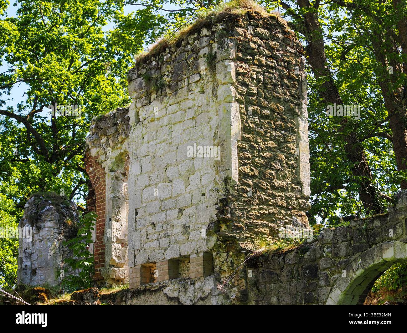Castello di Betchworth, rovine, Casa medievale fortificata, Dorking, Surrey. REGNO UNITO, REGNO UNITO, Foto Stock