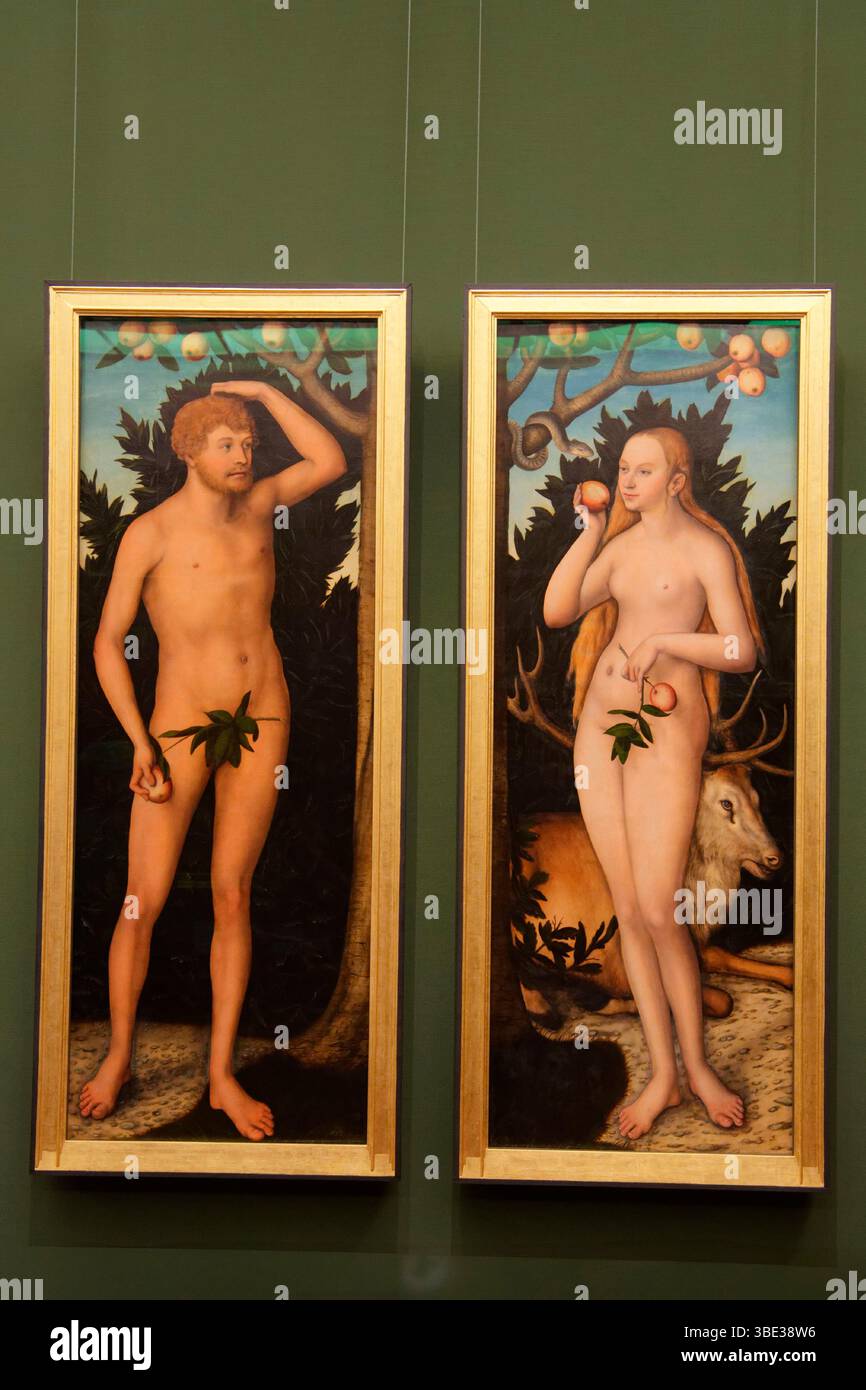 Germania, Stato della Sassonia, Dresda, città vecchia (Altstadt), palazzo Zwinger, Semperbau, Galleria delle immagini dei vecchi maestri (Gemäldegalerie alte Meister), i Cranach e i loro dipinti di laboratorio, dipinti di Cranach, Adamo ed Eva, di Lucas Cranach il giovane, 1537 Foto Stock