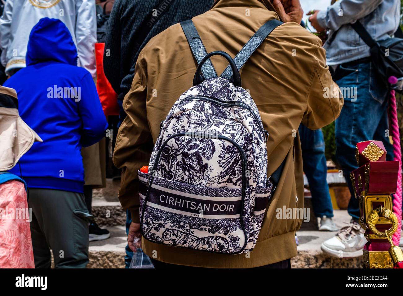 Cina, regione autonoma del Tibet, Lhasa, palazzo del Potala, che è diventato un museo della storia tibetana, borsa grezza contraffatta sul retro di un visitatore cinese Foto Stock