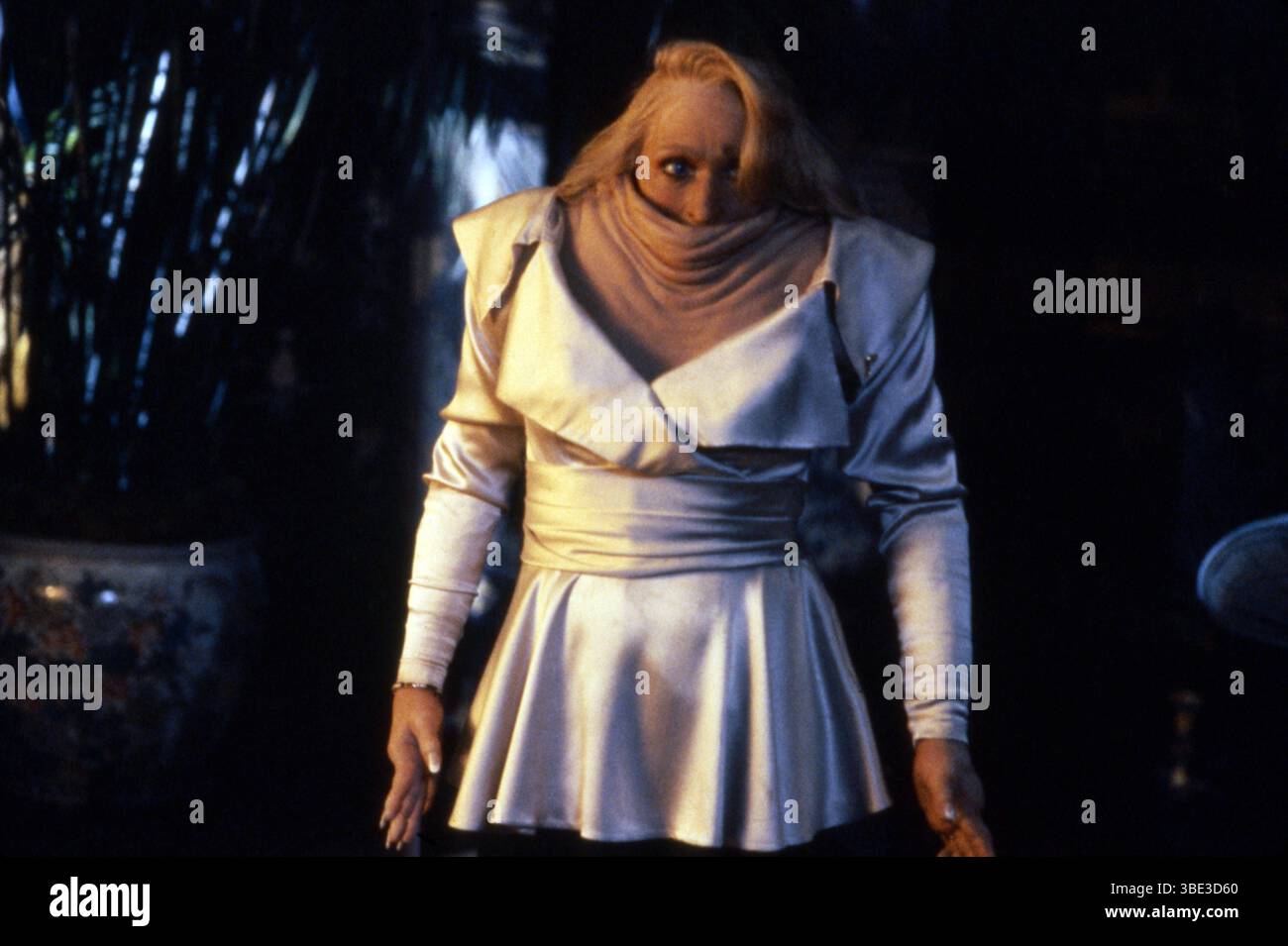 La morte diventa il suo anno : 1992 USA Direttore : Robert Zemeckis Meryl Streep Foto Stock