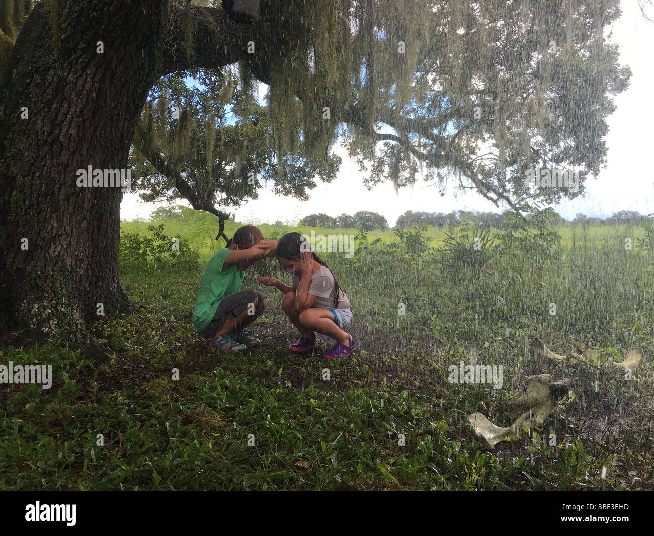 The Florida Project anno : 2017 USA diretto da Sean Baker Valeria cotto, Brooklynn Prince Foto Stock