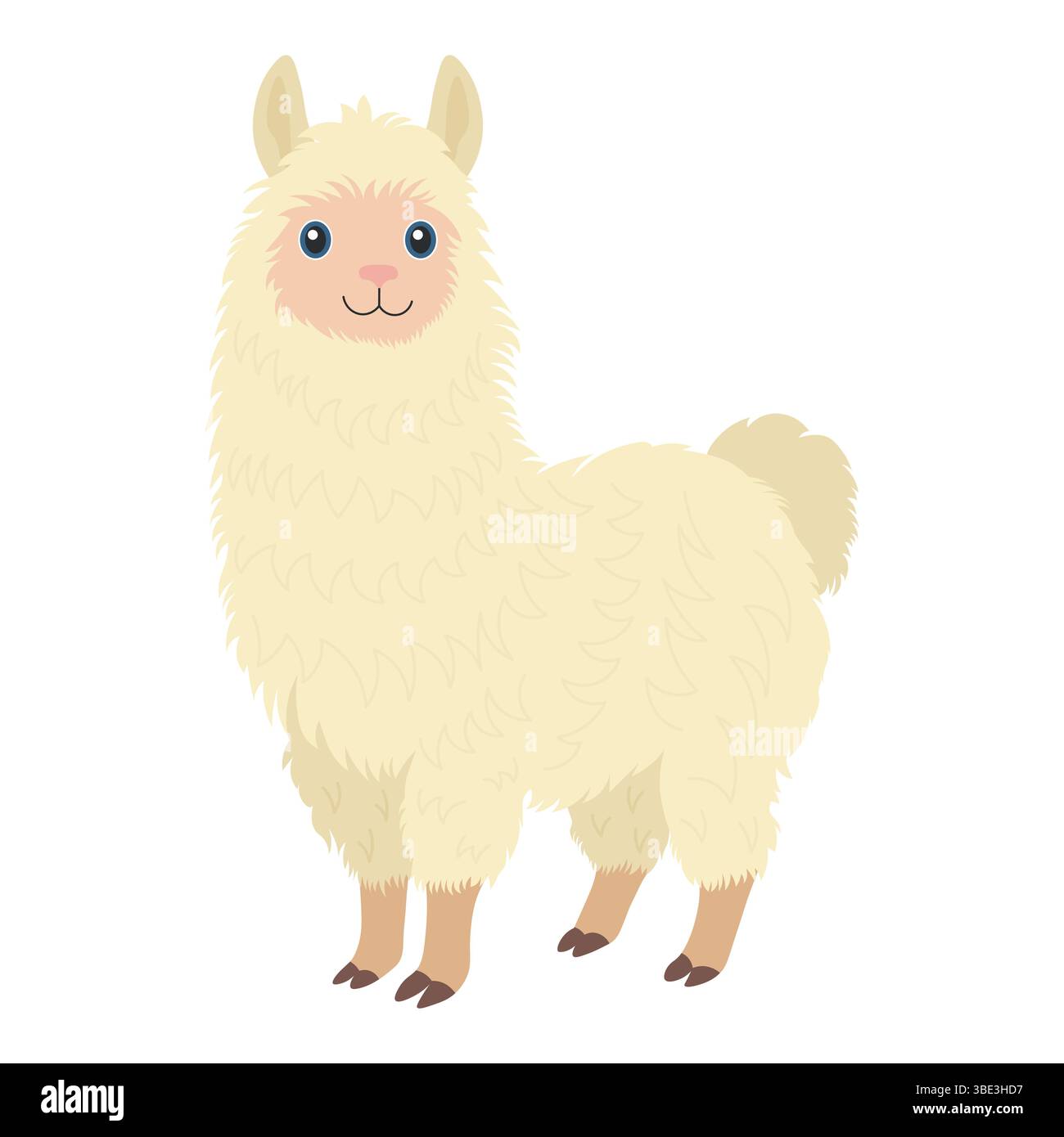Lama in stile piatto. Illustrazione vettoriale di un animale domestico Illustrazione Vettoriale
