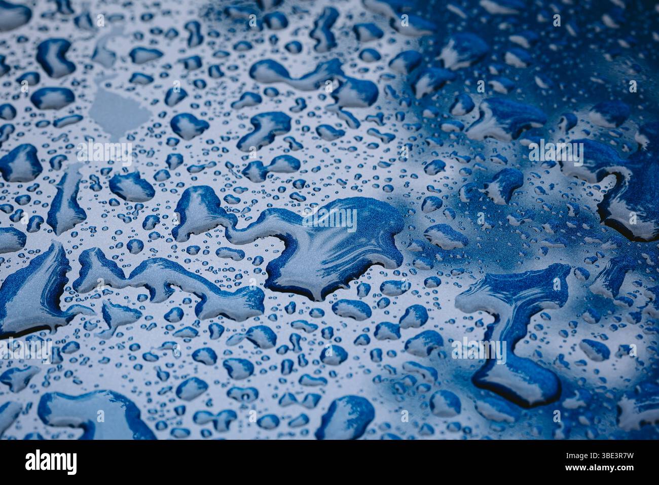 Goccioline d'acqua su una carrozzeria in metallo blu. Primo piano, foto macro, luce naturale, niente persone. Foto Stock
