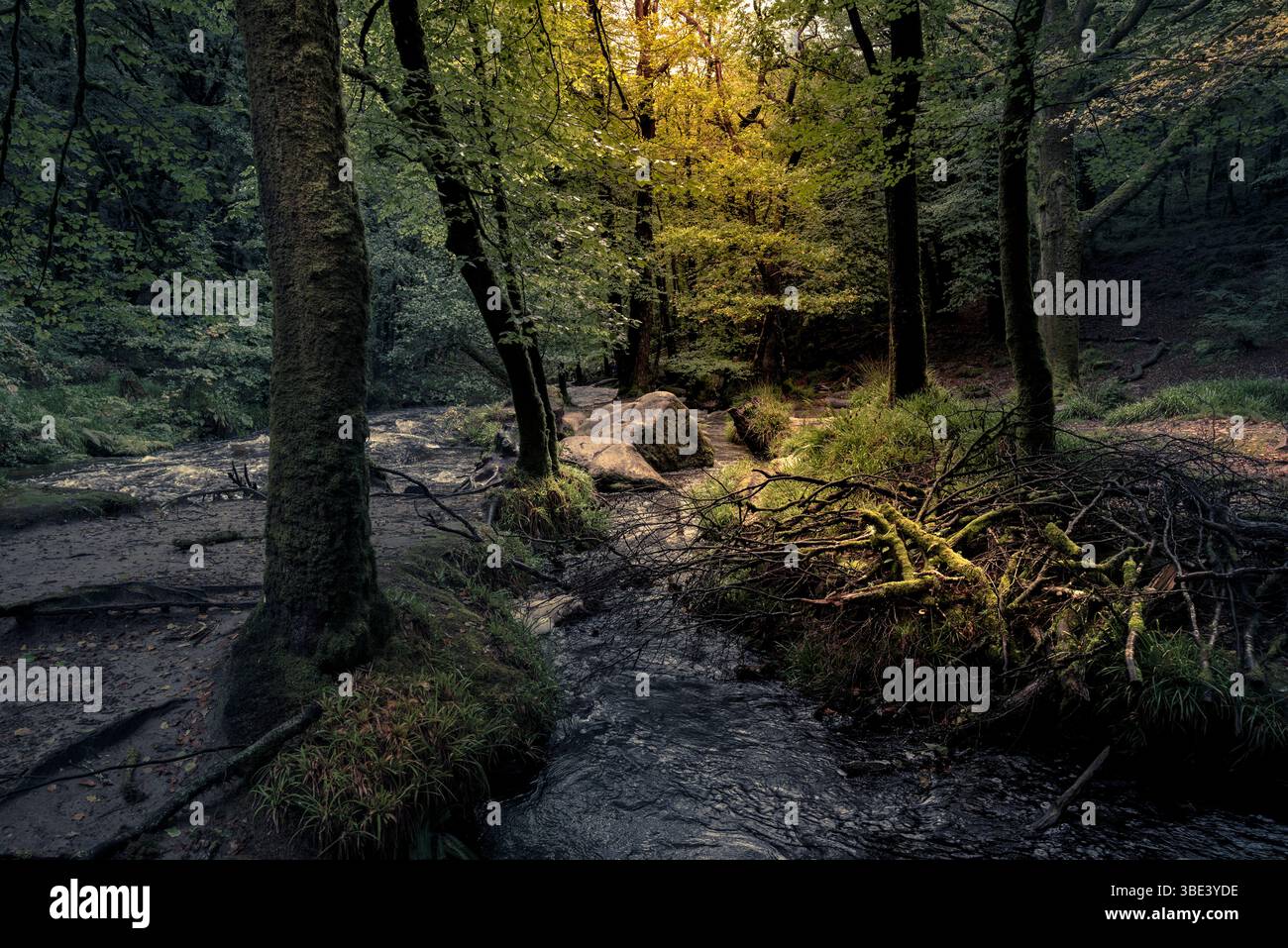 Cascate di Golitha. Il fiume Fowey scorre attraverso l'antico bosco di Draynes Wood sulla Bodmin Moor in Cornovaglia nel Regno Unito. Foto Stock