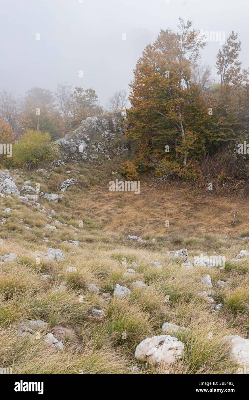 Sgombero su pendii nebbiosi circondati da crinali di pietra e foresta autunnale Foto Stock