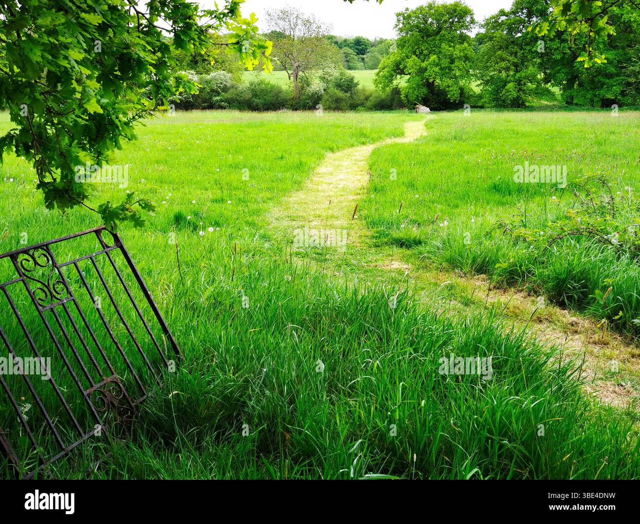 Sentiero per falciatura attraverso un prato a Knaresborough Forest Park, terra di proprietà della comunità di Knaresborough, North Yorkshire, Inghilterra Foto Stock