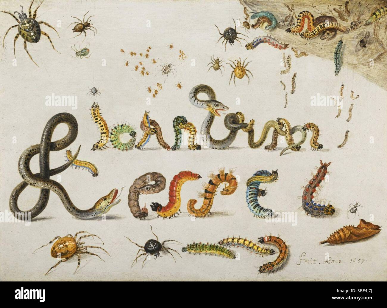 Jan van Kessel (i) - ragni da giardino e da casa con serpenti d'erba e caterpills contordati e intrecciati per incantare il nome dell'artista. Foto Stock