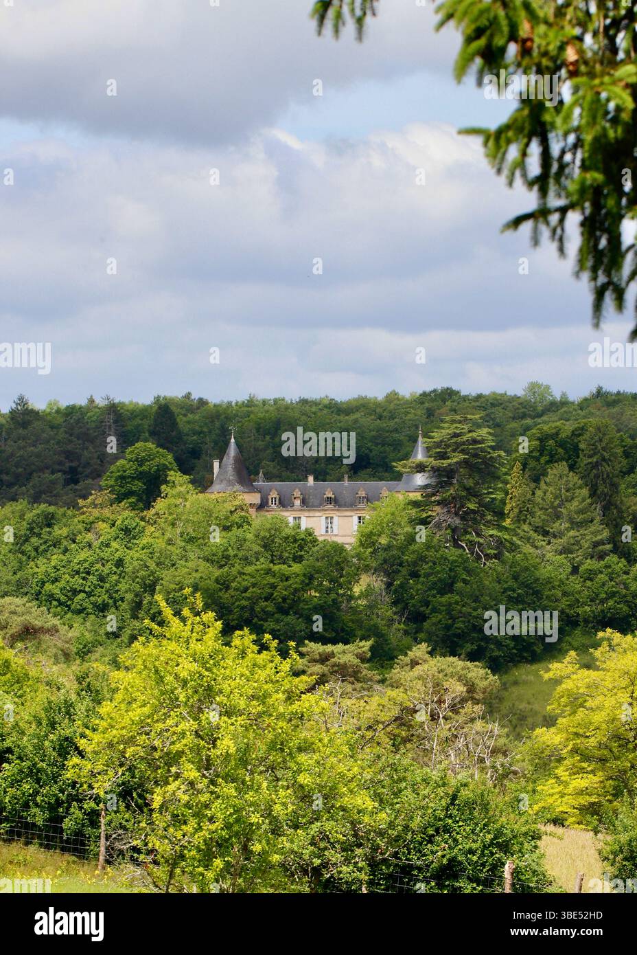 Un maestoso castello emerge dall'abbraccio della fitta vegetazione, dalle sue torri e dalla linea del tetto che lasciano intendere una ricca storia nascosta all'interno del paesaggio francese Foto Stock