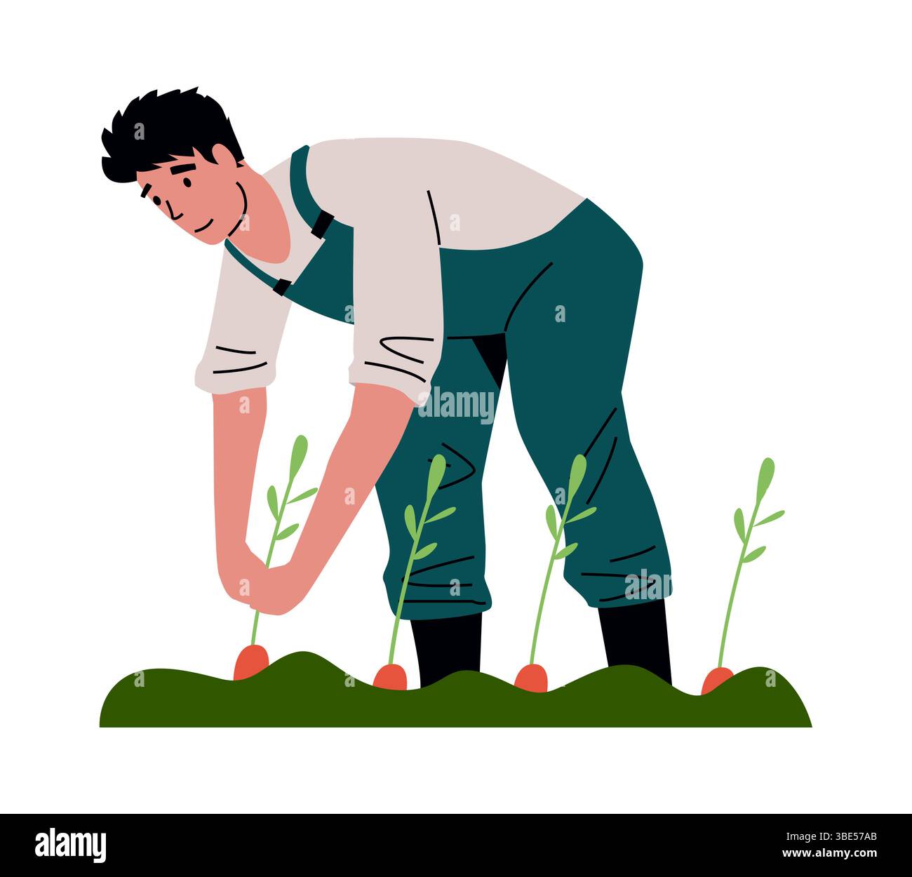 Lavoratore agricolo. Contadino che raccoglie carote dal letto di semina. Giardiniere che raccoglie verdure. Lavoro agricolo rurale. Uomo che coltiva prodotti naturali. Orticoltura da giardino. Coltivazione di campagna. Concetto vettoriale Illustrazione Vettoriale