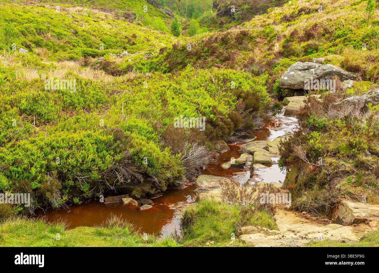 Swetton Moor, Nidderdale, North Yorkshire, dove il livello dell'acqua nei fiumi, nelle dighe e negli stagni è eccezionalmente basso a causa della mancanza di precipitazioni per molte settimane Foto Stock