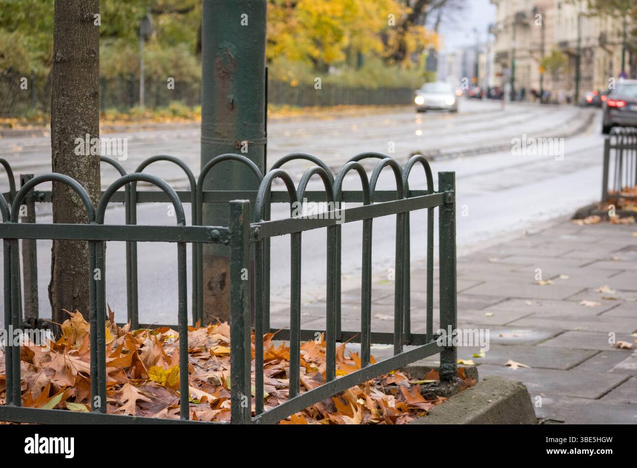 una griglia nera di metallo che racchiude un giovane albero appena piantato su una strada lastricata, creando un contrasto tra l'ambiente naturale e quello urbano. Foto Stock