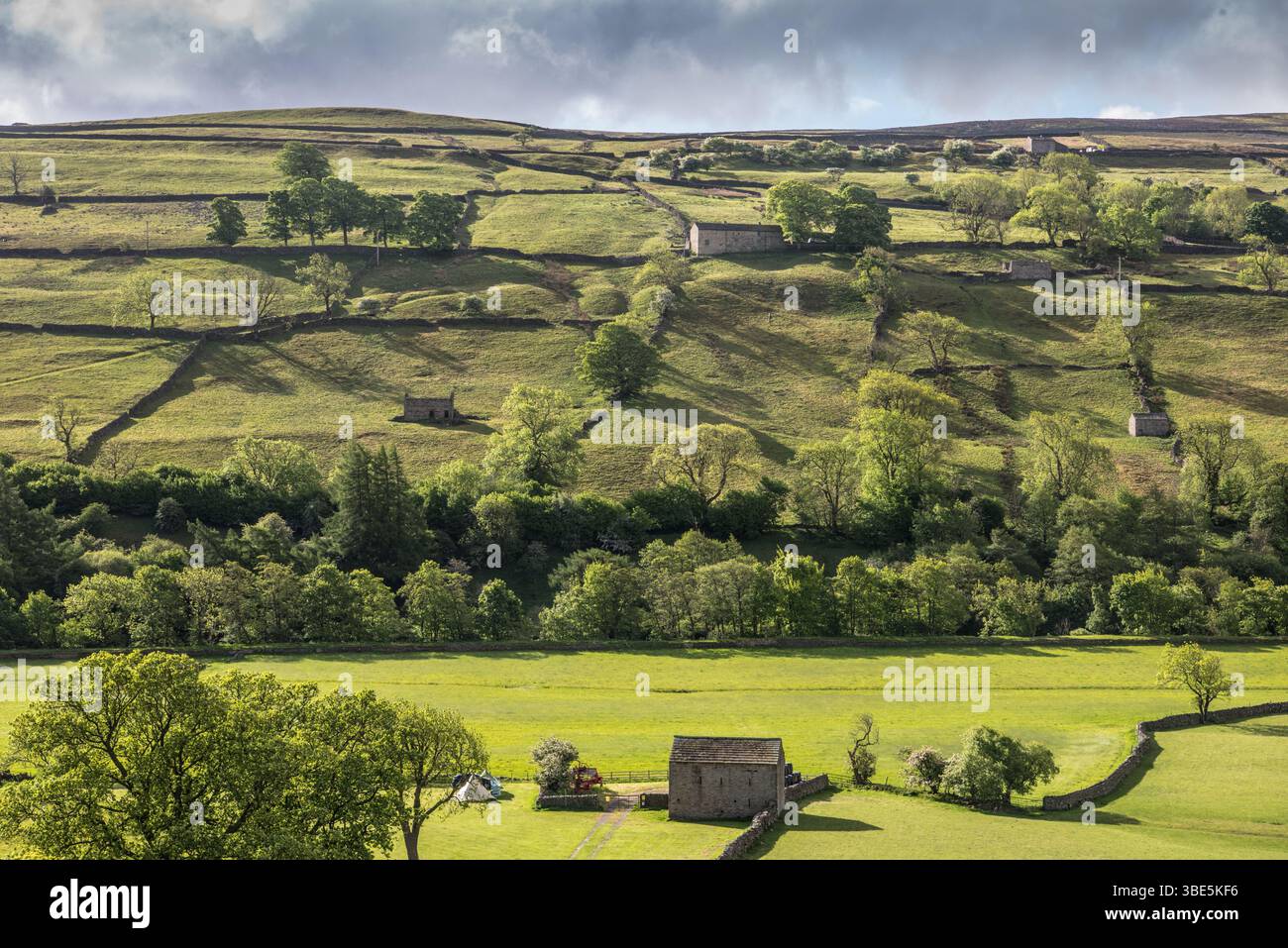 Suggestivi vies di Swaledale nelle Dales dello Yorkshire in primavera, con grandi cieli e tradizionali campi murati in pietra e fienili in pietra Foto Stock