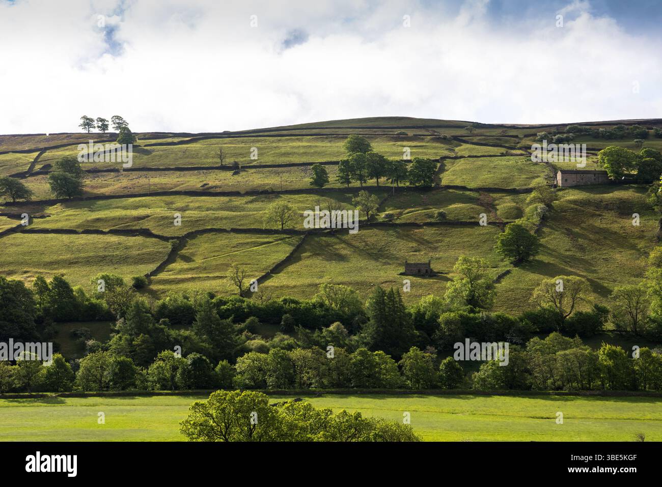 Suggestivi vies di Swaledale nelle Dales dello Yorkshire in primavera, con grandi cieli e tradizionali campi murati in pietra e fienili in pietra Foto Stock