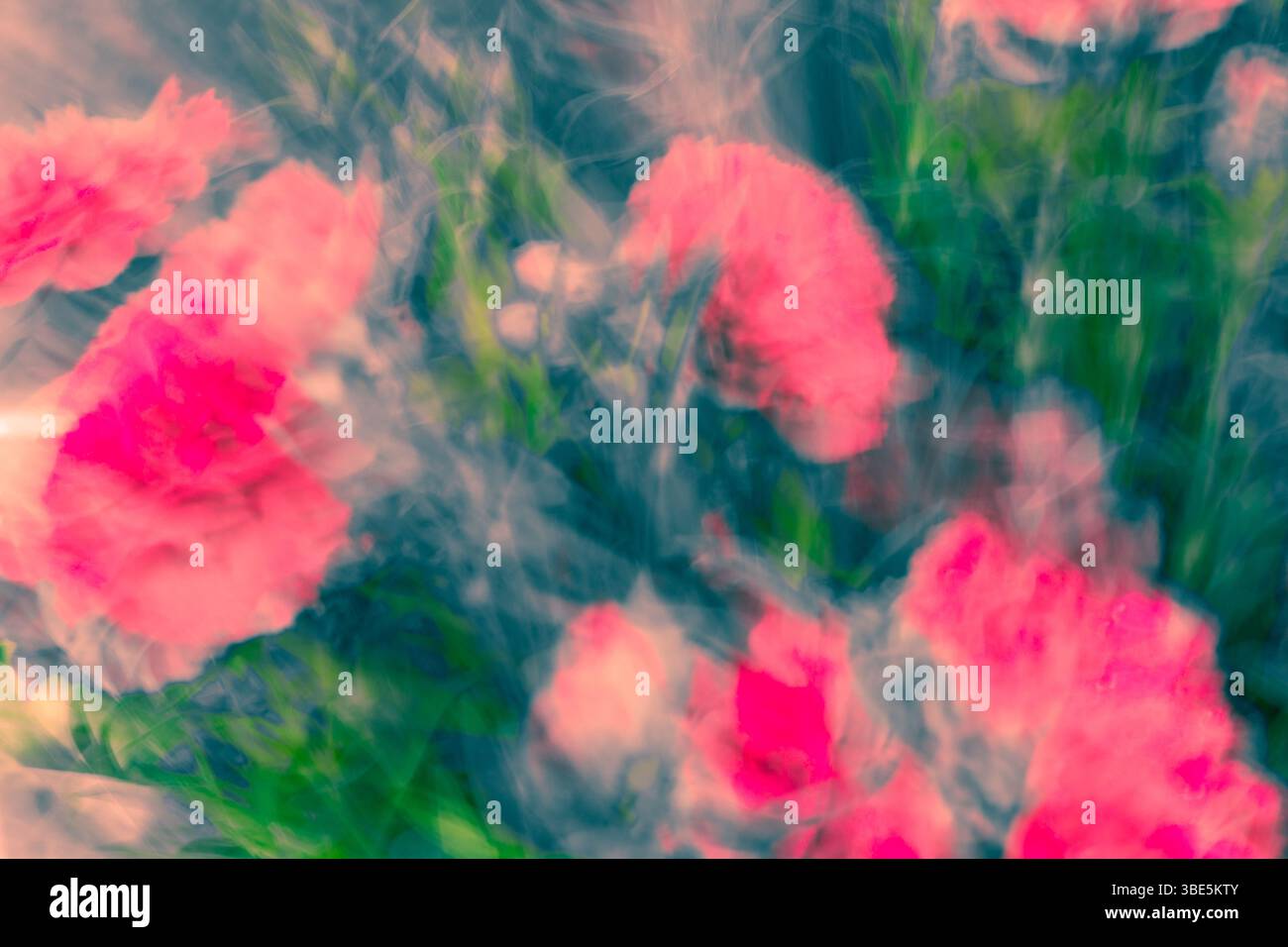 Un'immagine astratta da sogno di fiori rosa su un verde rigoglioso, catturata in uno stile di movimento sfocato, che crea un effetto morbido e impressionistico che trasmette una mossa Foto Stock