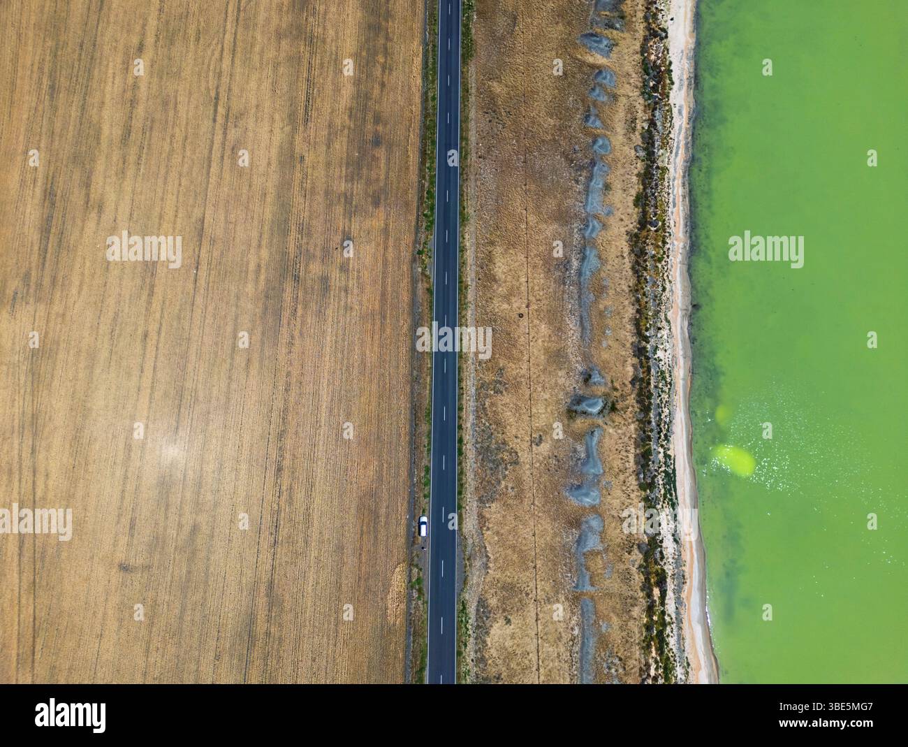 Ripresa aerea che cattura un affascinante contrasto, una strada rettilinea separa un campo dorato da un vivace lago verde di Victoria, Australia. L'esclusivo co Foto Stock