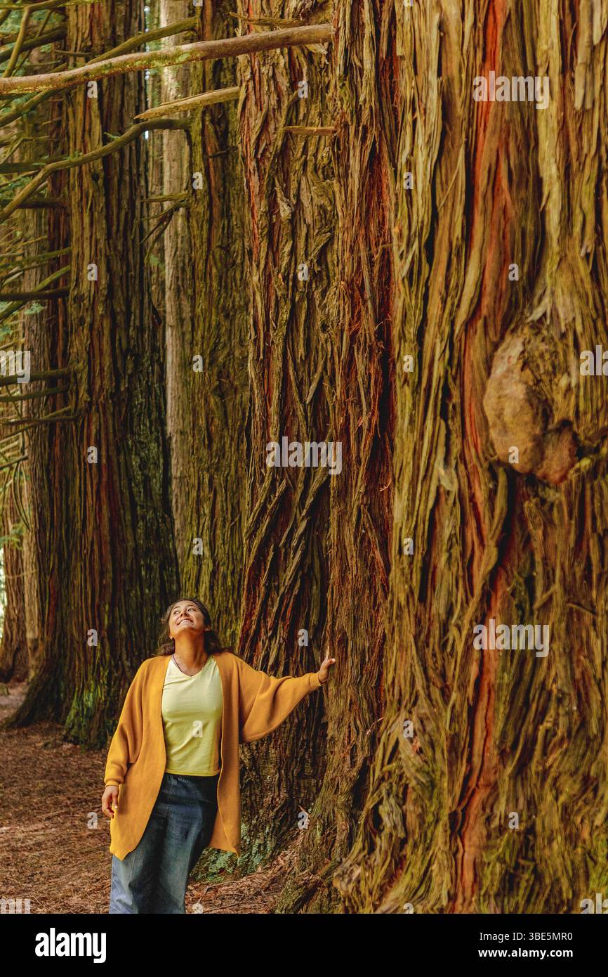Una donna con un abbigliamento casual si erge a soggezione accanto ai torreggianti alberi di sequoia in una foresta della Great Ocean Road, Australia. La scena cattura la grandezza Foto Stock