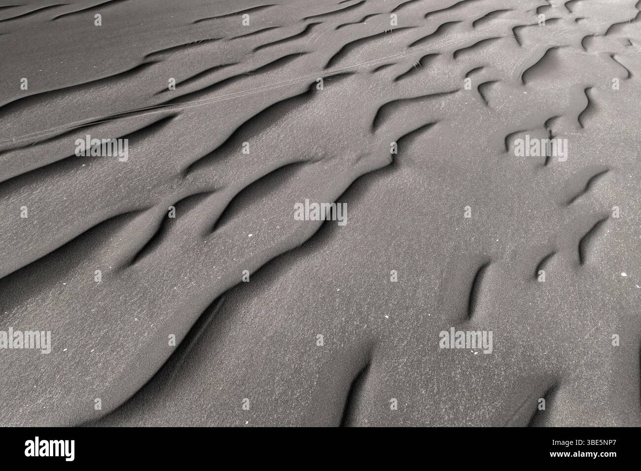 La sabbia nera riccamente testurizzata forma disegni complessi che mettono in risalto l'interazione di elementi naturali sulle superfici sabbiose. Foto Stock
