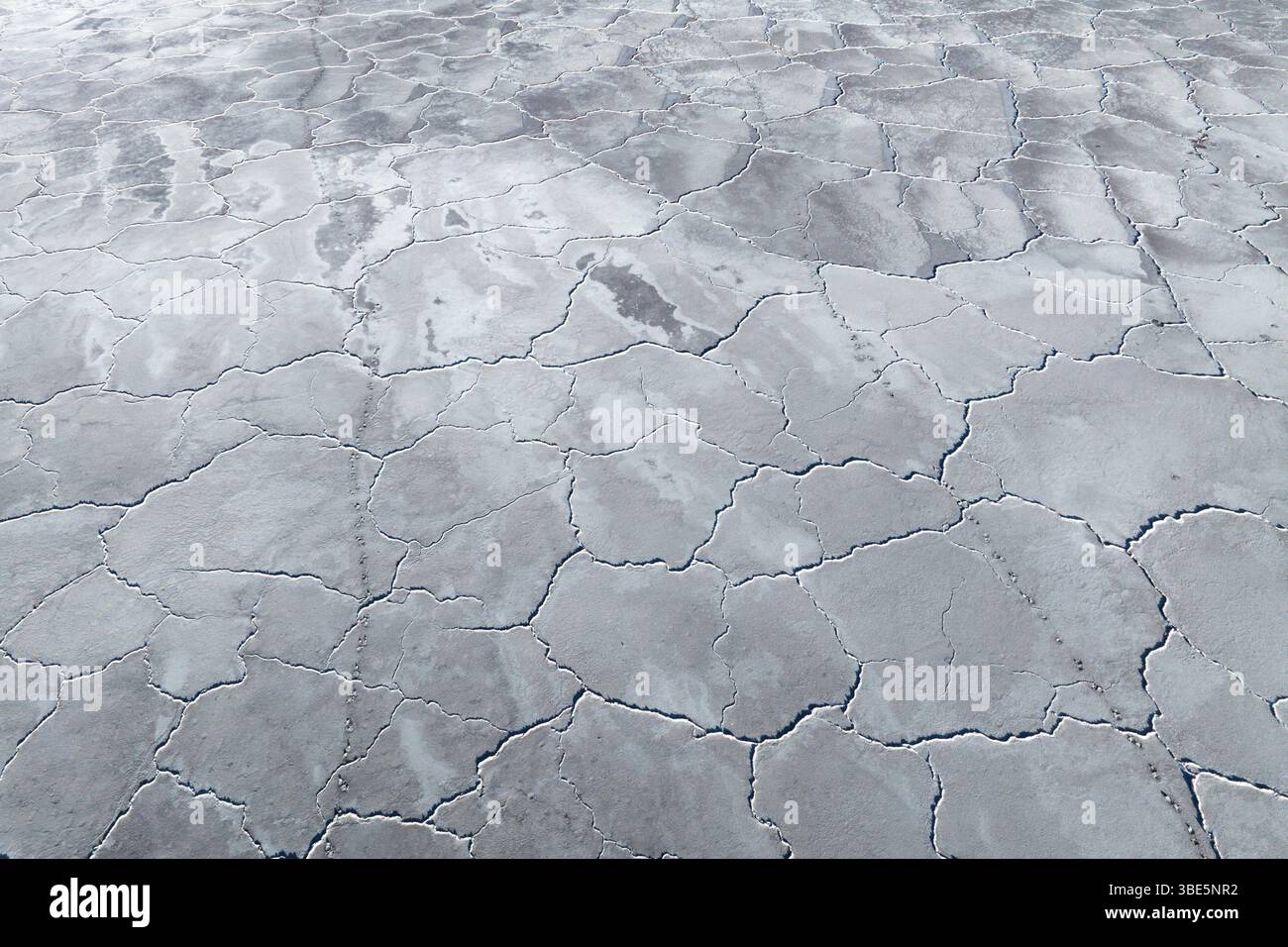 Vista aerea delle distese di fango salino che mostrano uno schema di superficie incrinata unico. La trama intricata si forma naturalmente attraverso il processo di evaporazione in Foto Stock