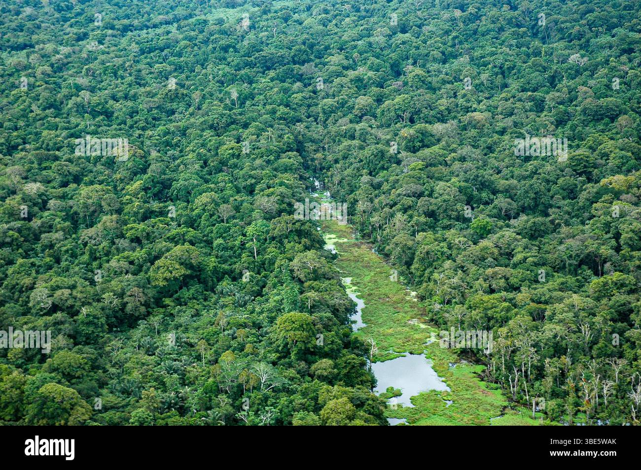 La vista aerea della foresta pluviale Amazon rivela che la foresta primaria dell'andana dritta è stata eliminata per costruire una fitta tettoia frazionata di strade non asfaltate in 2 blocchi scollegati Foto Stock