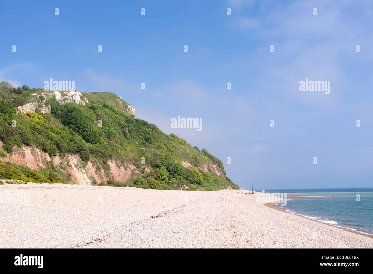 La spiaggia e la costa di Seaton, Devon, Inghilterra, Regno Unito Foto Stock