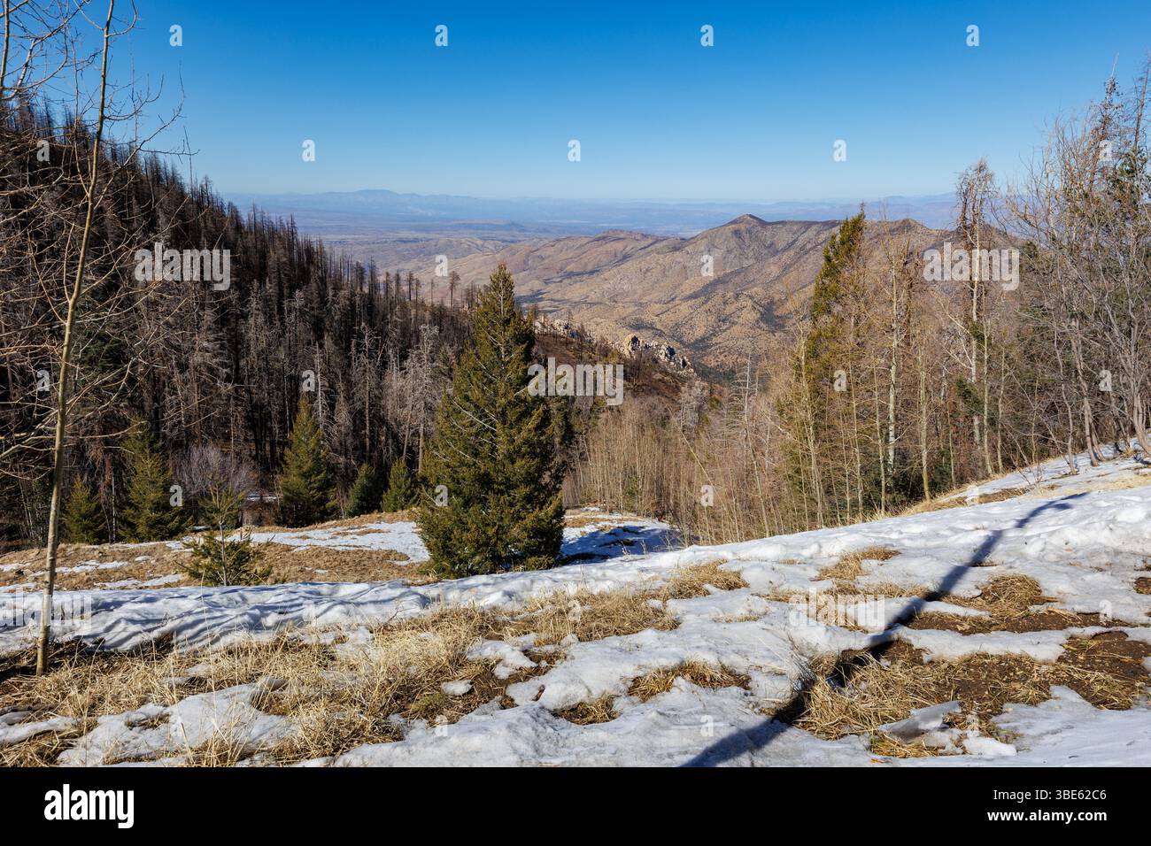 Neve sulla montagna di Santa Catalina che si affaccia sul lato nord del monte Lemmon, Arizona, Stati Uniti Foto Stock