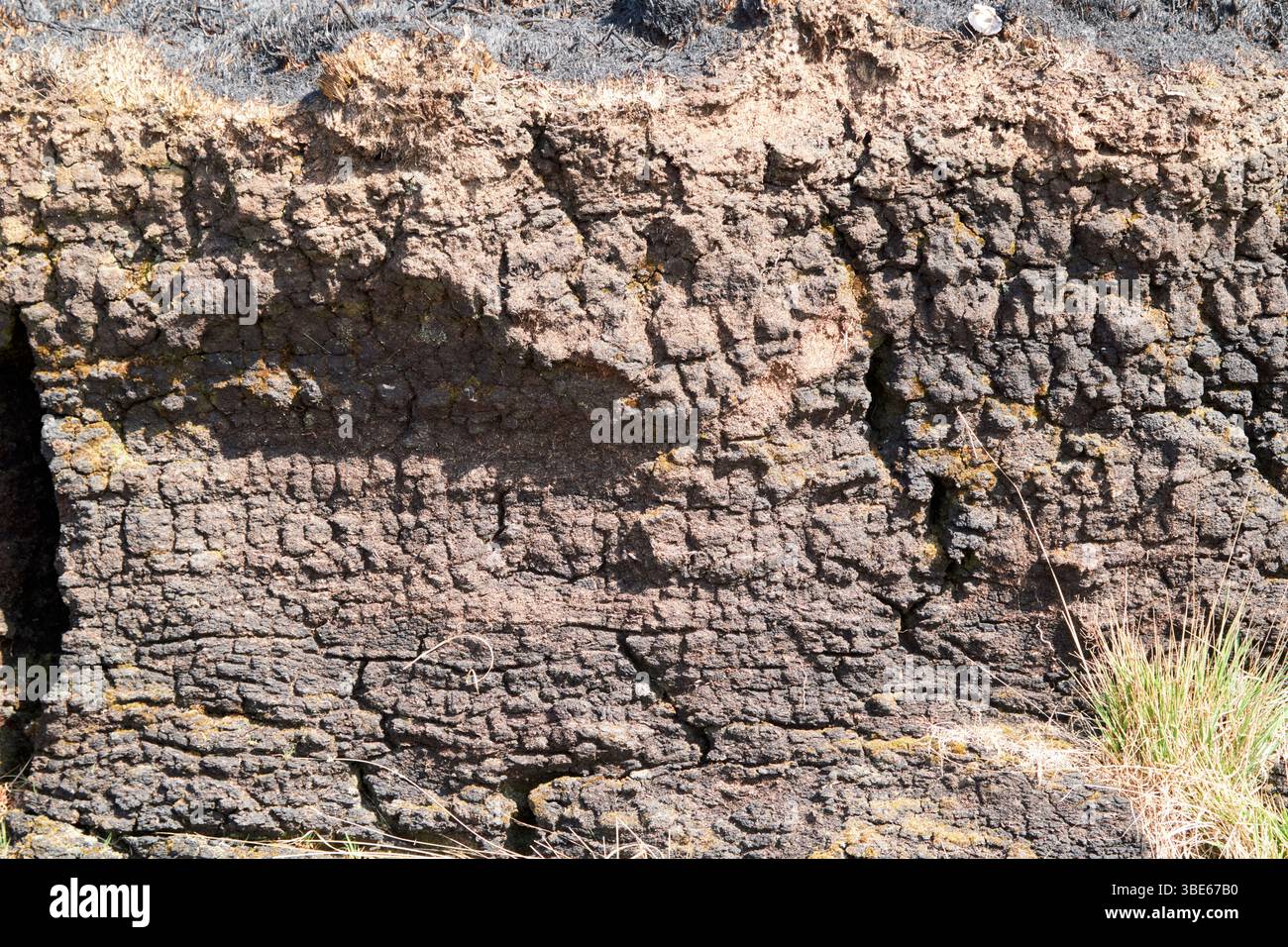 clima caldo estivo danni da fuoco selvaggio allo strato superiore di torbiera sul sentiero costiero di montagna claggan contea mayo repubblica d'irlanda Foto Stock
