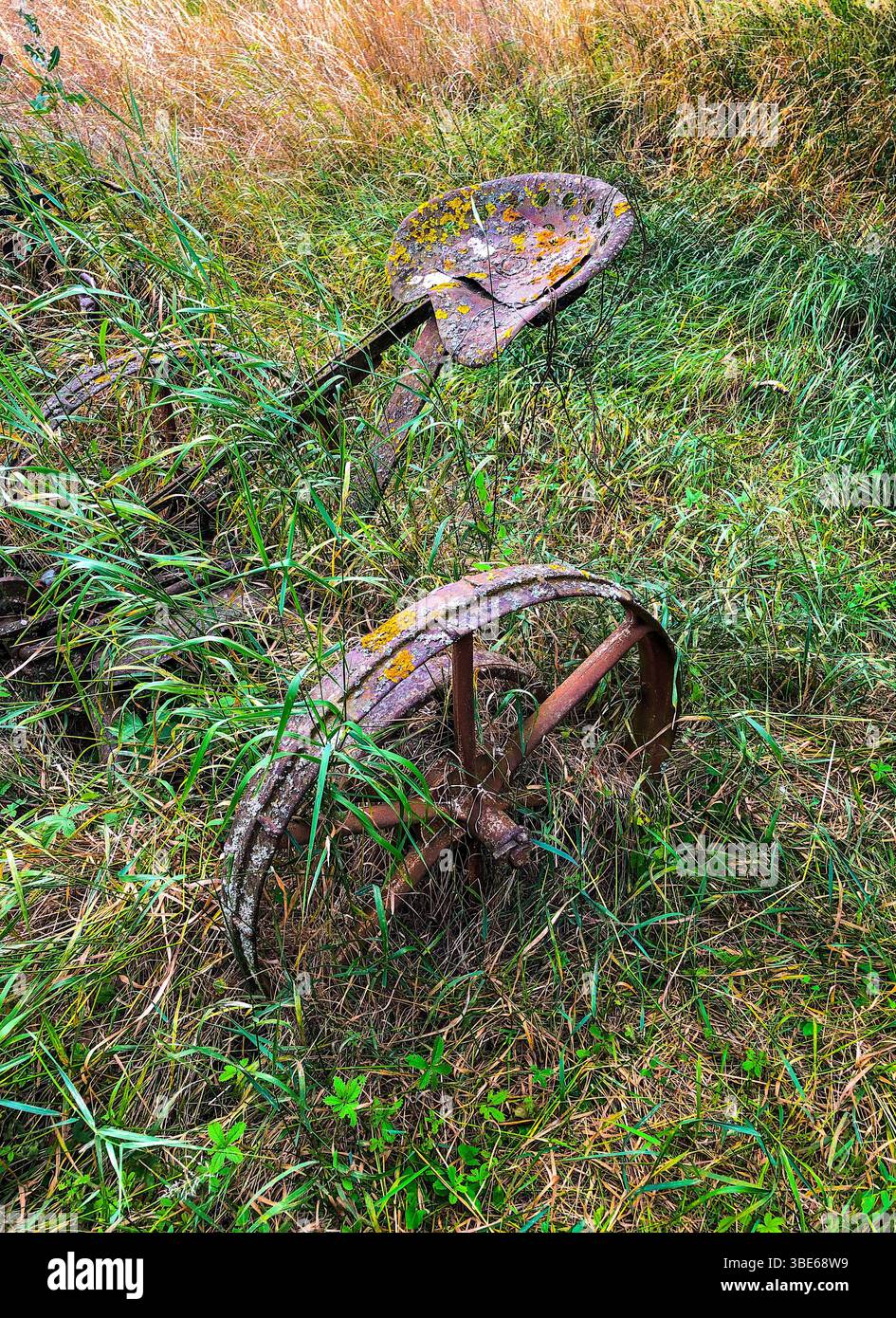 Vecchia macchina agricola arrugginita in erba lunga - Sud-Touraine, Francia. Foto Stock