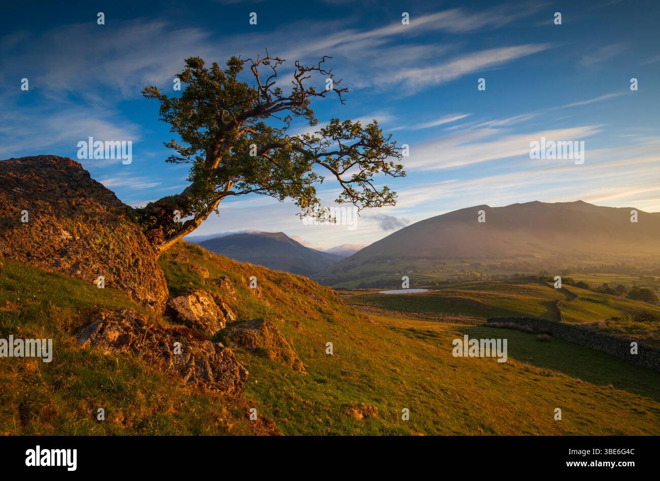 Lone Tree di Sunrise Foto Stock