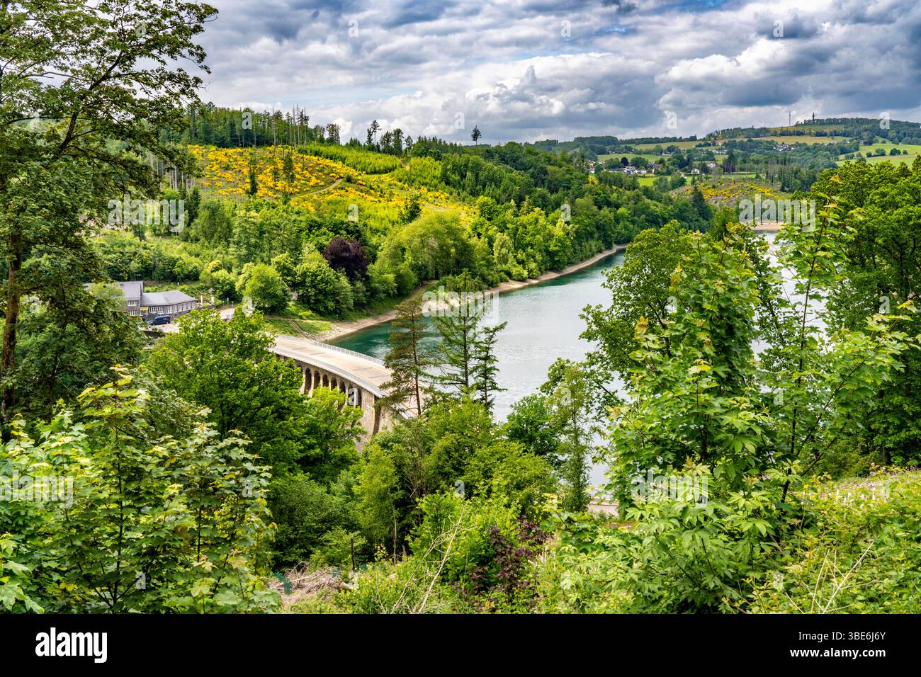 La diga di Aggertalsperre nella regione della Terra di Oberbergisches vicino Bergneustadt, gestita dalla Aggerverband, parete della diga alta 45 metri, è utilizzata la riserva Foto Stock