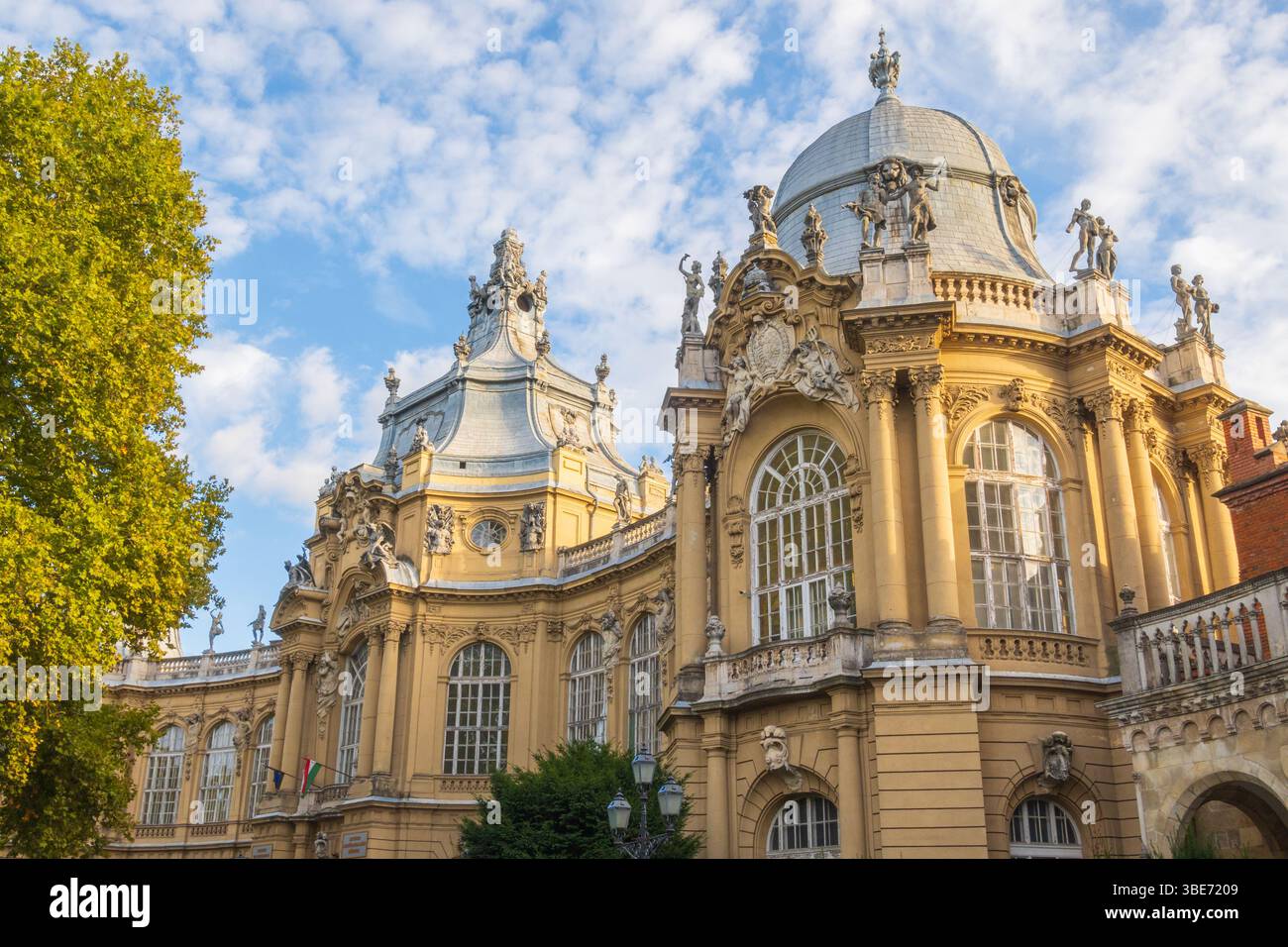 Castello di Vajdahunyad, il museo agricolo nel parco principale della città di Varosliget a Budapest, Ungheria Foto Stock