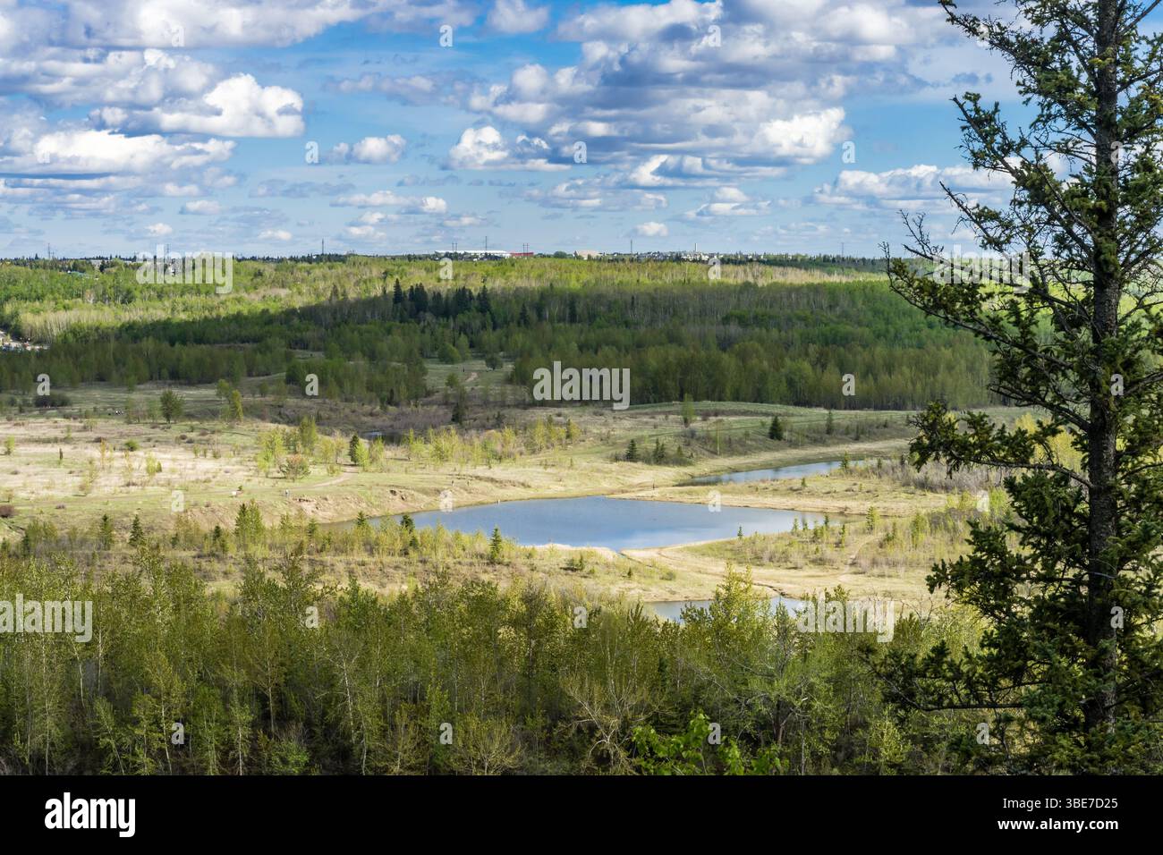 Edmonton City River Valley Park corridoio verde Foto Stock