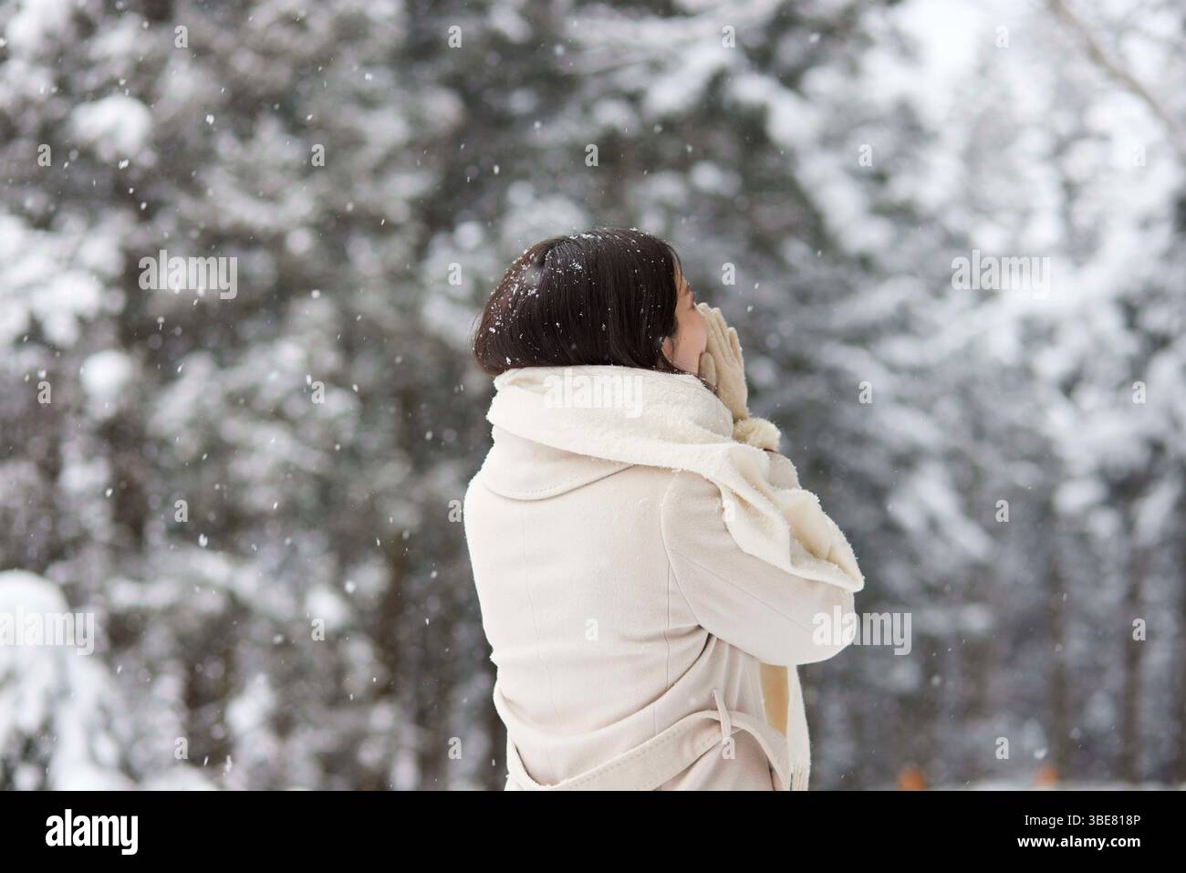 Donna giapponese che indossa una sciarpa in piedi in un paese innevato in inverno Foto Stock