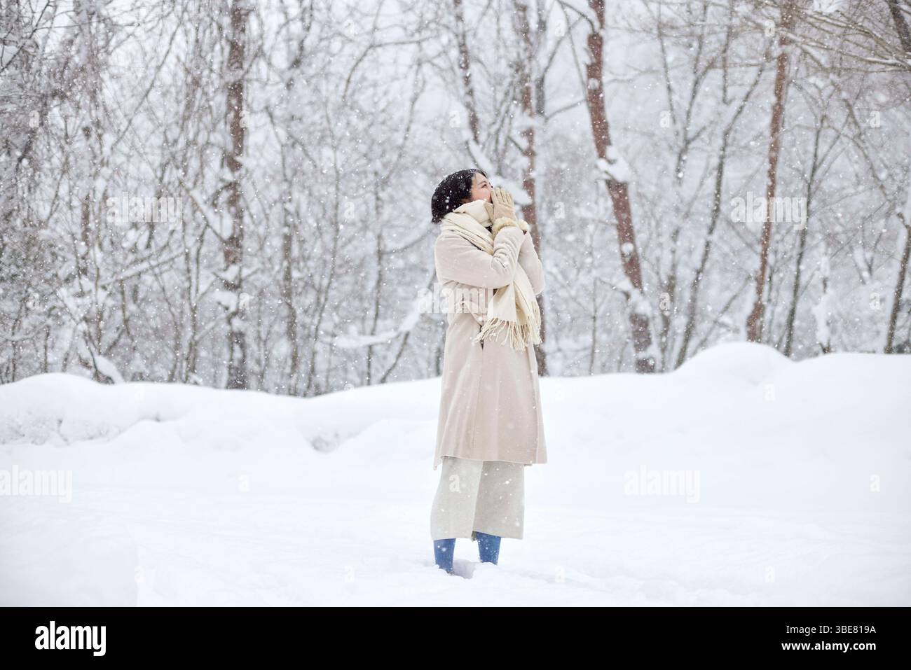 Donna giapponese che indossa una sciarpa in piedi in un paese innevato in inverno Foto Stock