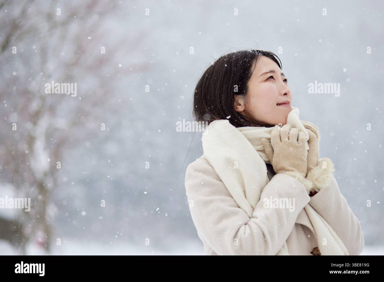 Donna giapponese che indossa una sciarpa in piedi in un paese innevato in inverno Foto Stock