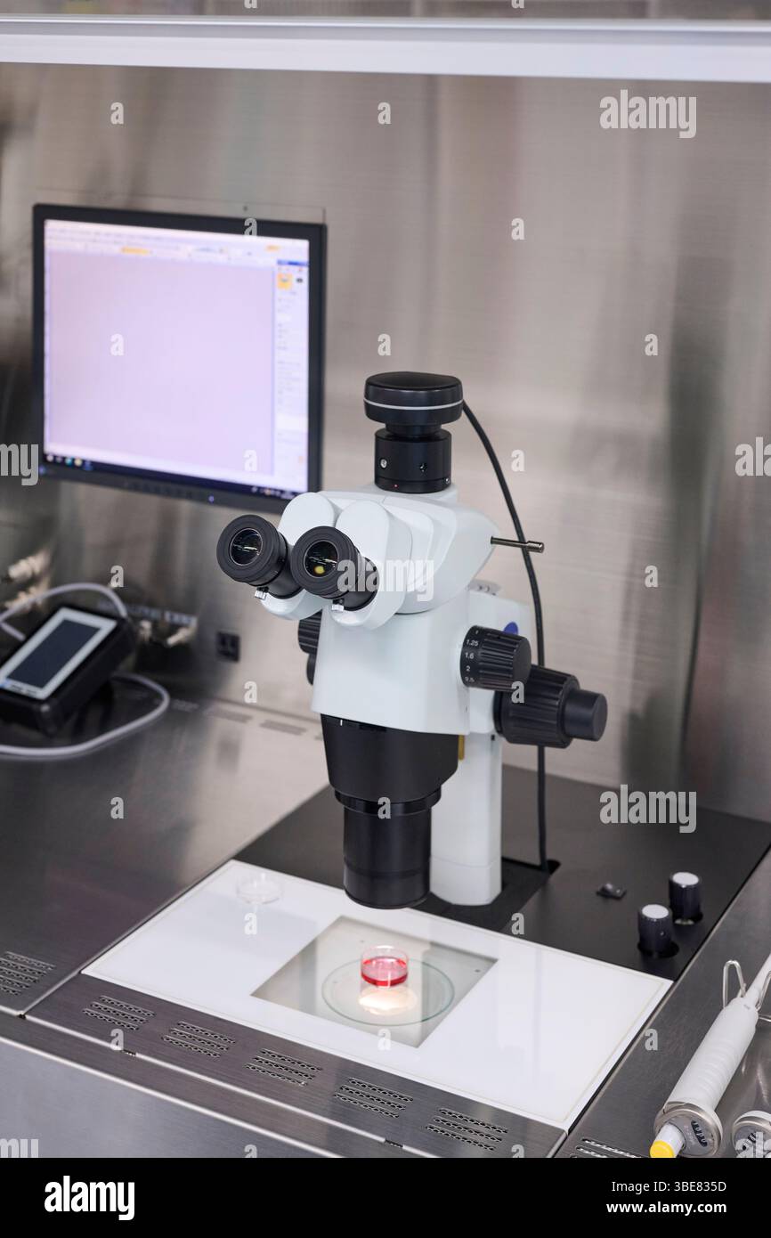 Microscopio installato nella sala di coltura Foto Stock