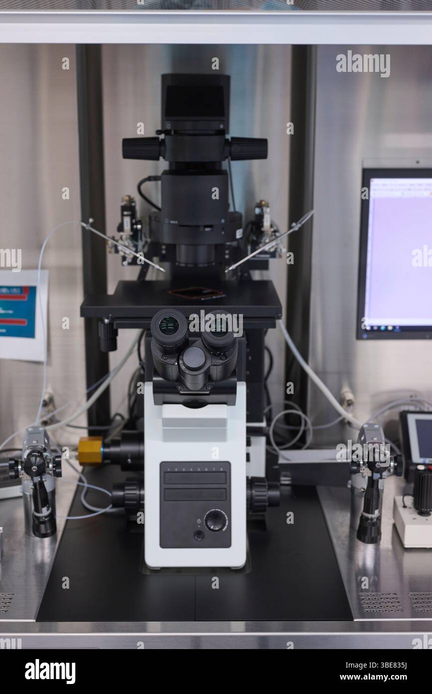 Microscopio installato nella sala di coltura Foto Stock