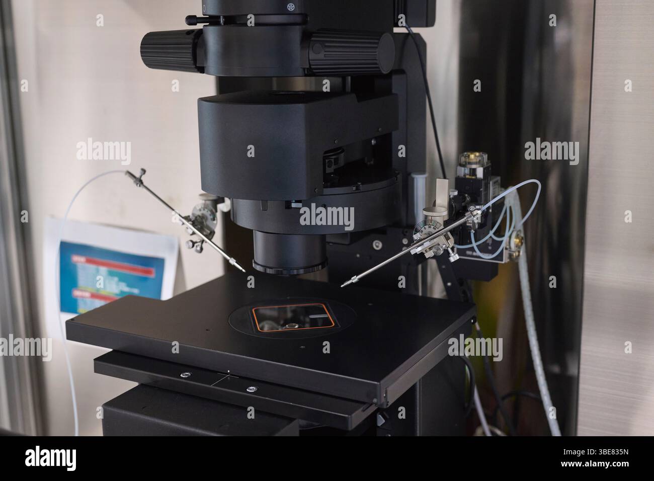 Microscopio installato nella sala di coltura Foto Stock