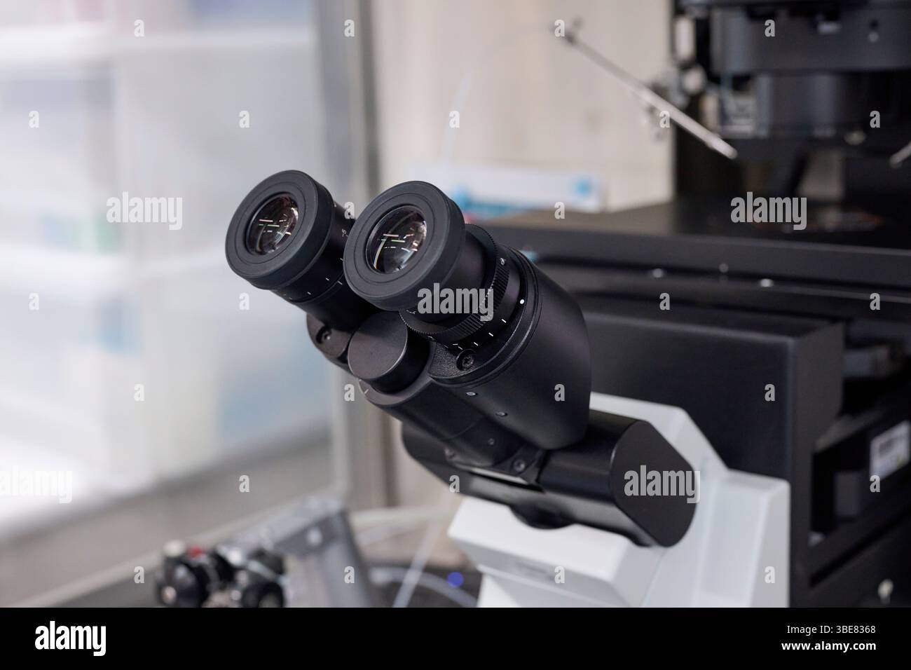 Microscopio installato nella sala di coltura Foto Stock