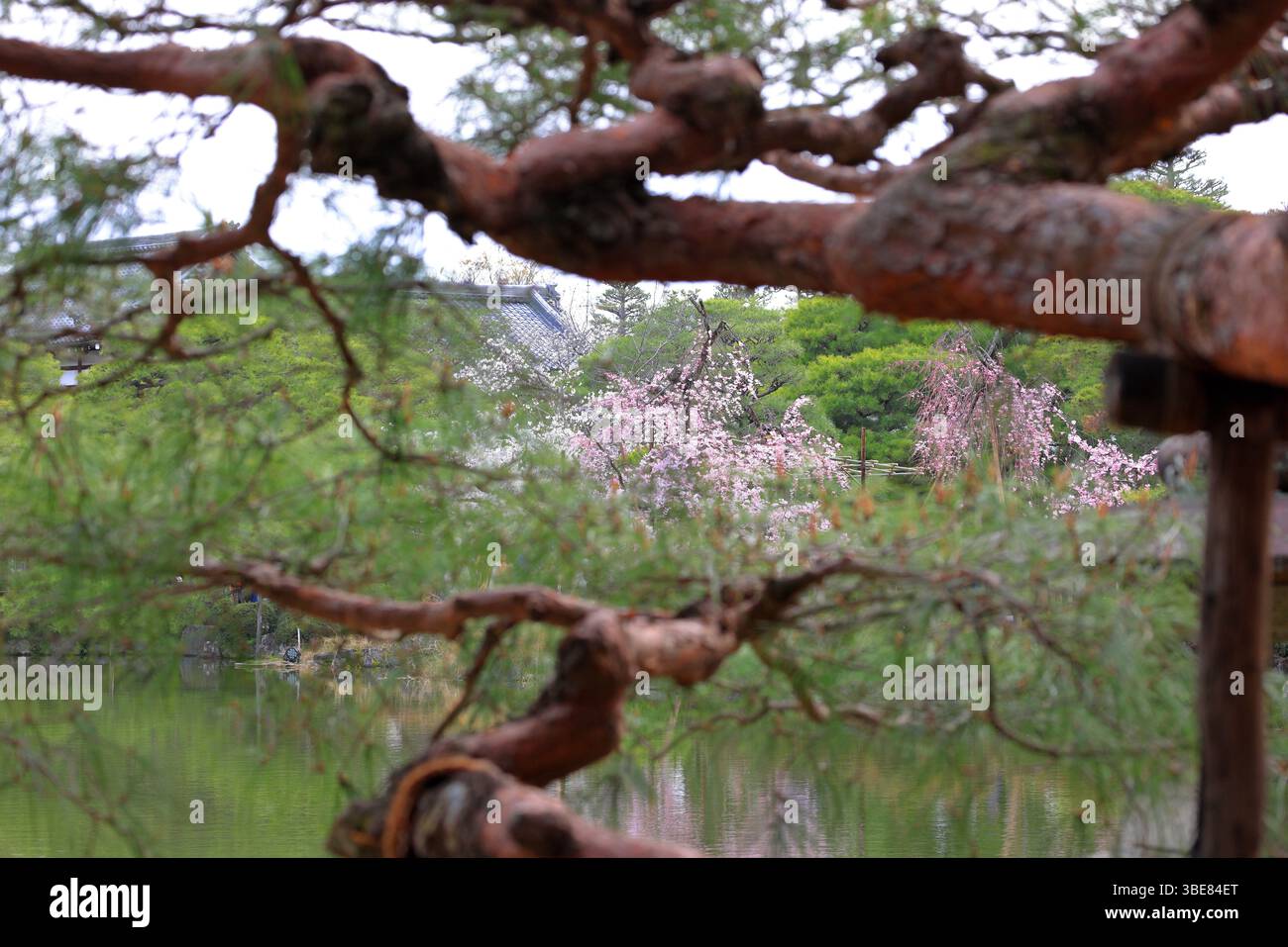 Santuario Heian, santuario shintoista e giardini paesaggistici a Okazaki Nishitennocho, Sakyo Ward, Kyoto, Giappone Foto Stock