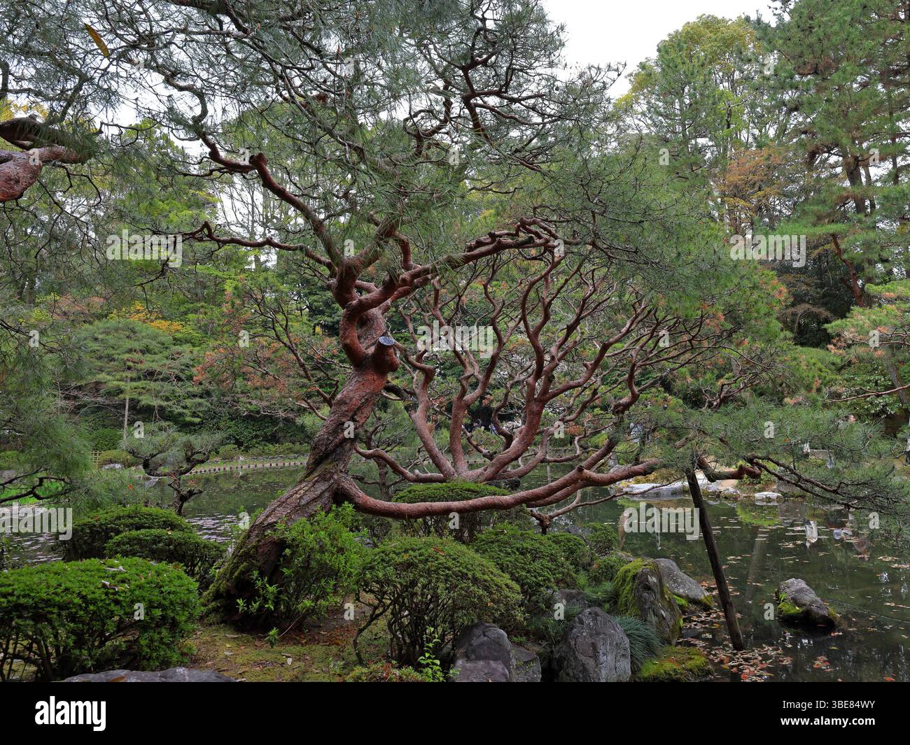 Santuario Heian, santuario shintoista e giardini paesaggistici a Okazaki Nishitennocho, Sakyo Ward, Kyoto, Giappone Foto Stock