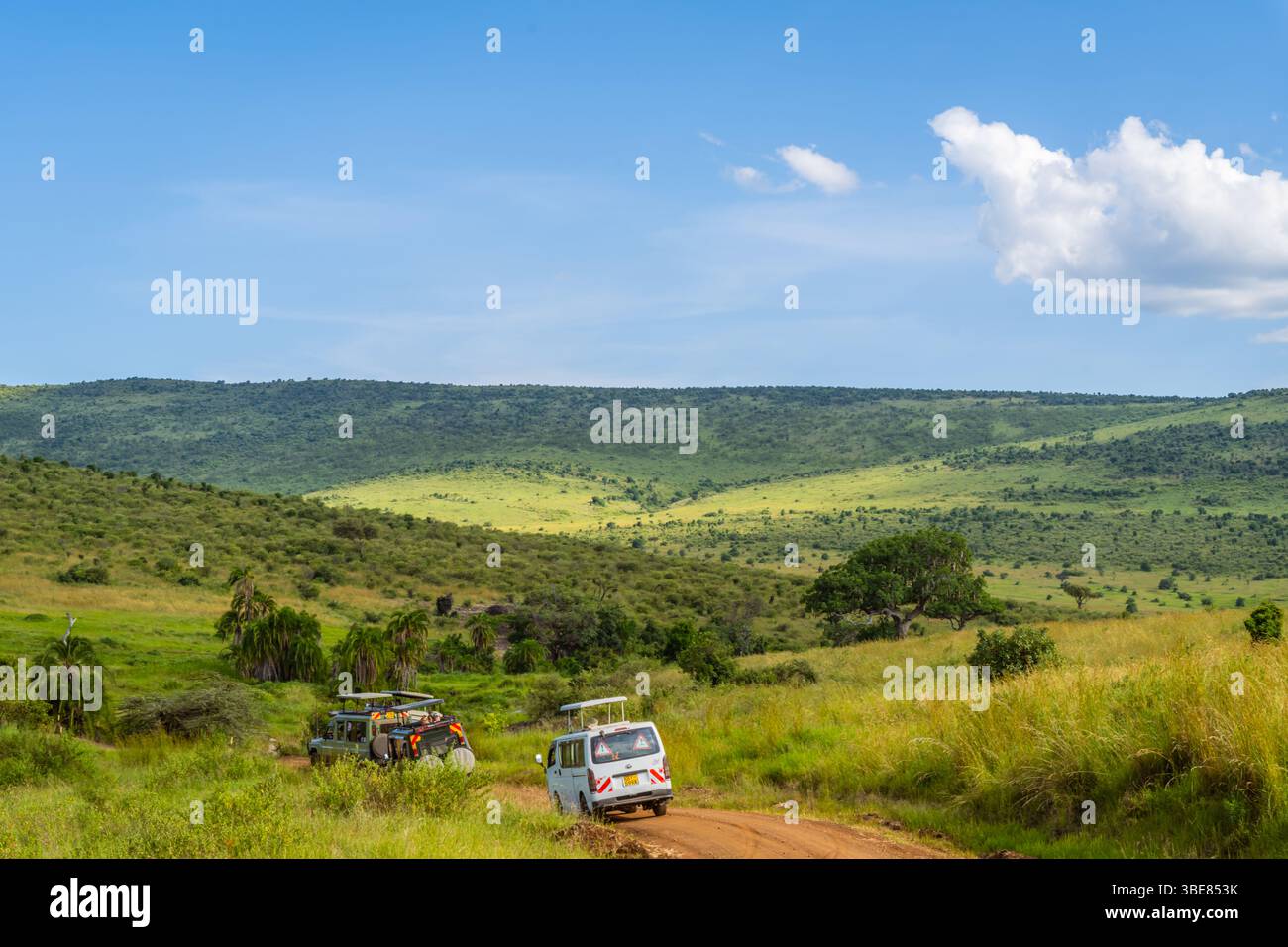 Paesaggio tranquillo con erba verde e sfondo blu cielo. Foto Stock