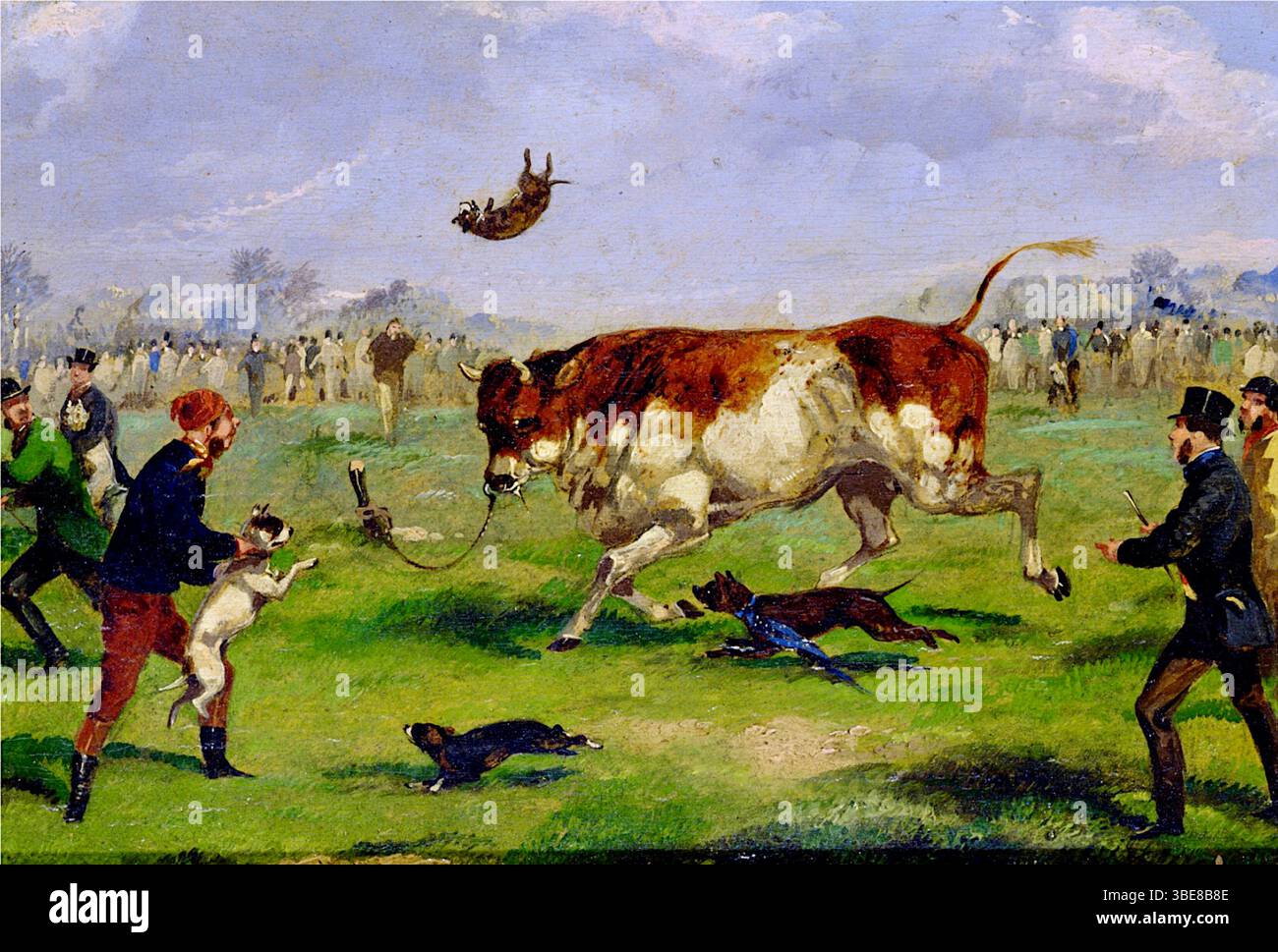 Samuel Henry Alken - Bull Baiting - prima del 1894 Foto Stock