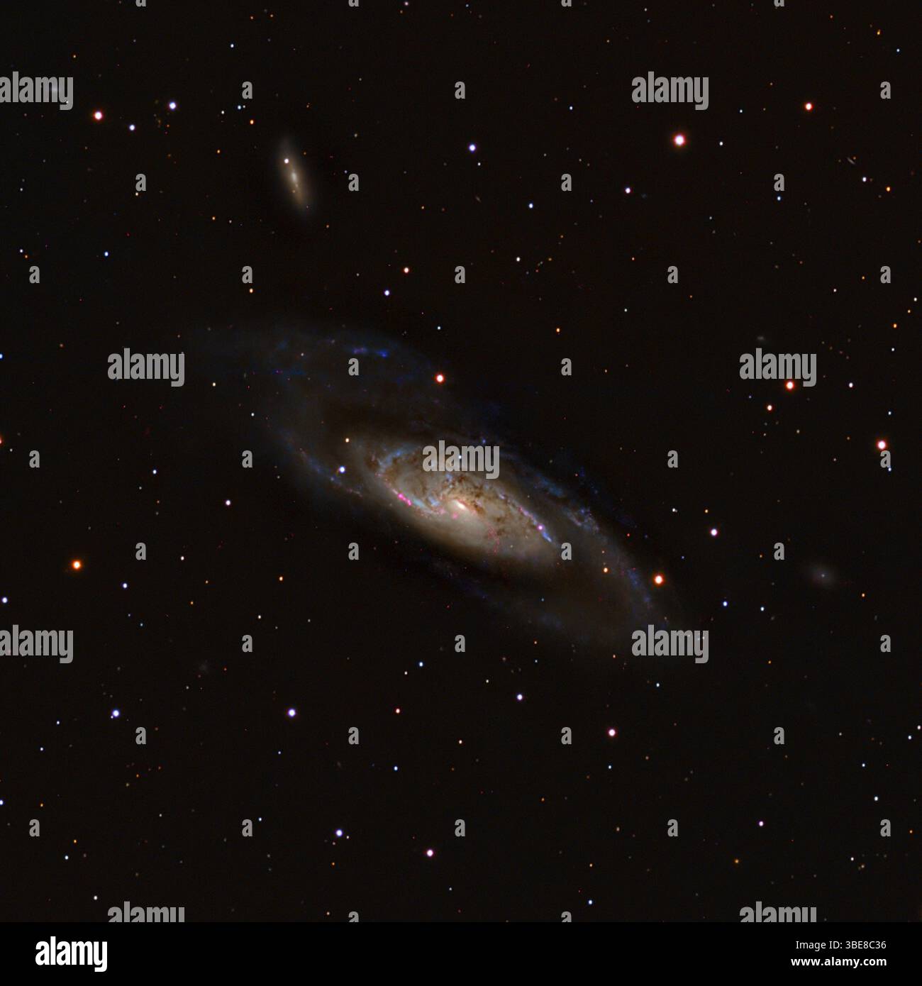 M106 Spiral Galaxy in Canes Venatici – astrofotografia Deep-Sky Foto Stock