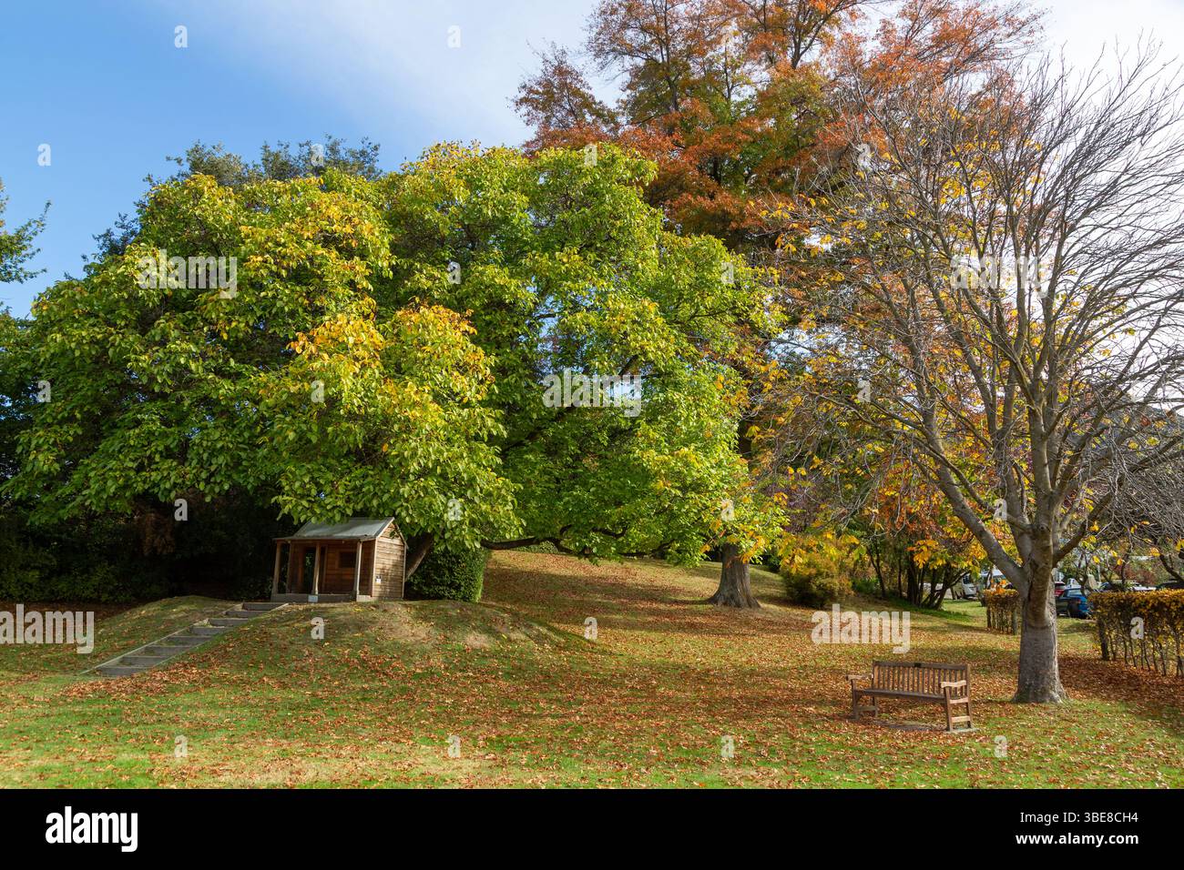 Rose Douglas Park, Arrowtown, Otago, nuova Zelanda Foto Stock