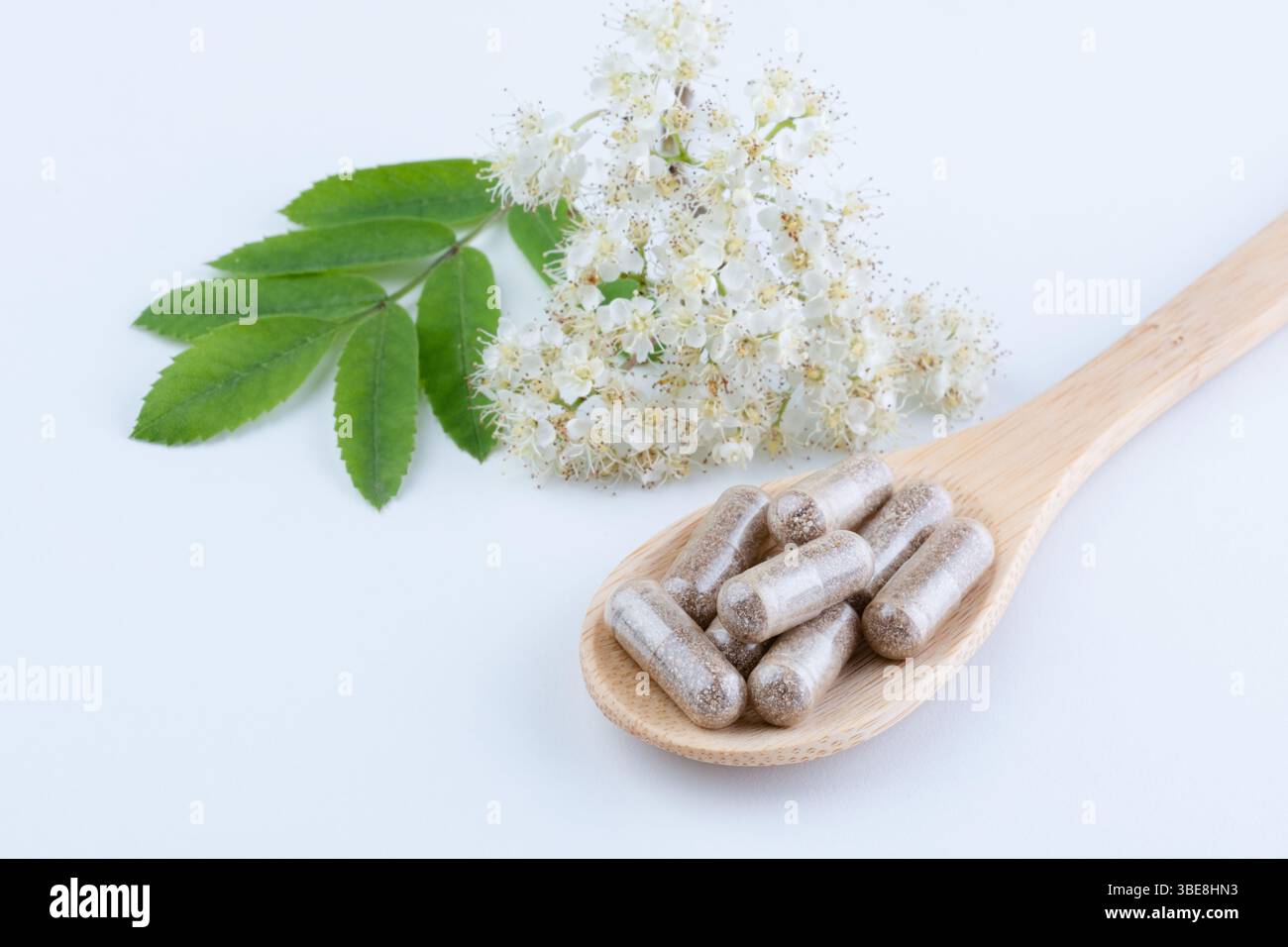 Integratori naturali su un cucchiaio di legno con fiori di sambuco fioriscono su sfondo bianco. Medicina alternativa, salute e benessere Foto Stock