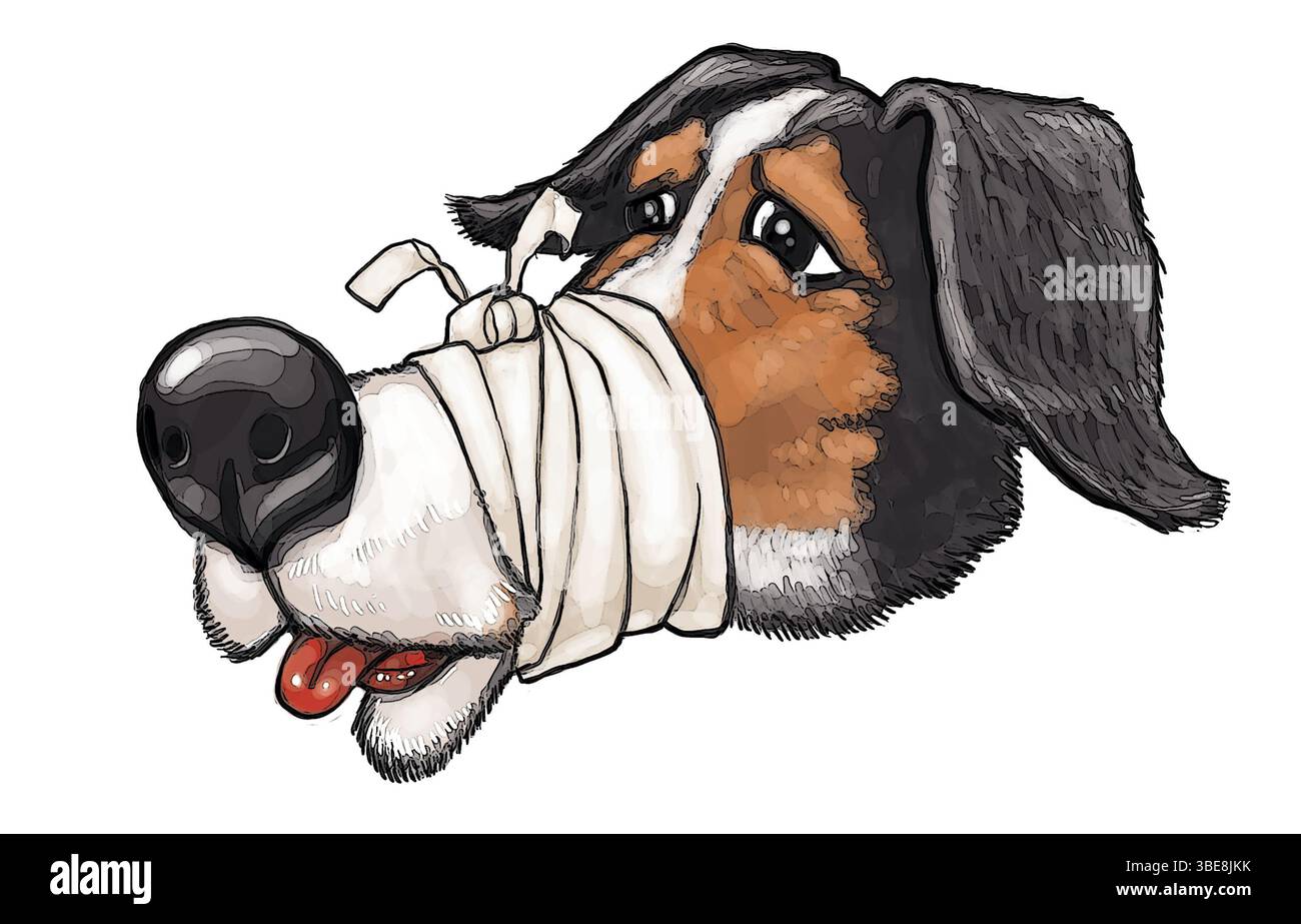 Cane illustrativo cartoni animati con la sua museruola bendata, animali feriti, cura degli animali domestici, lavori veterinari, pratica veterinaria, cani malati, che si prendono cura degli animali Foto Stock